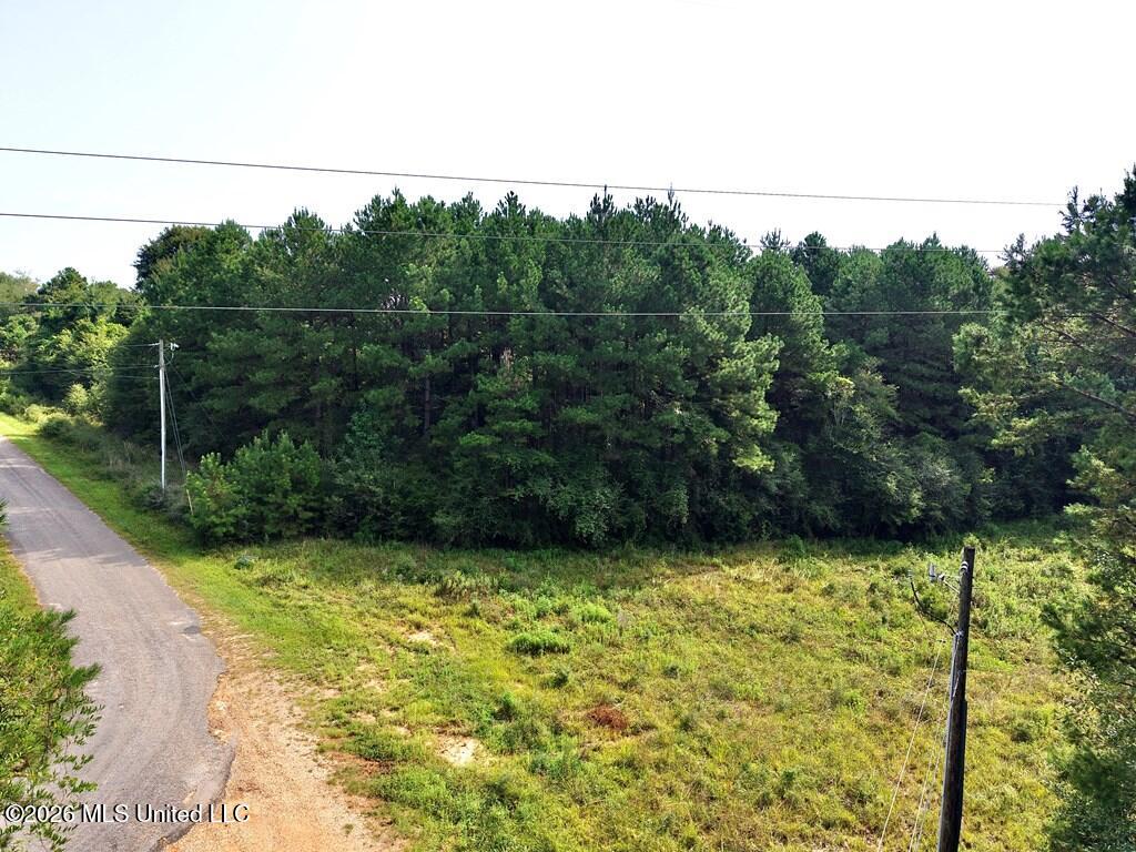 Tamchelle Road Property Photo 12