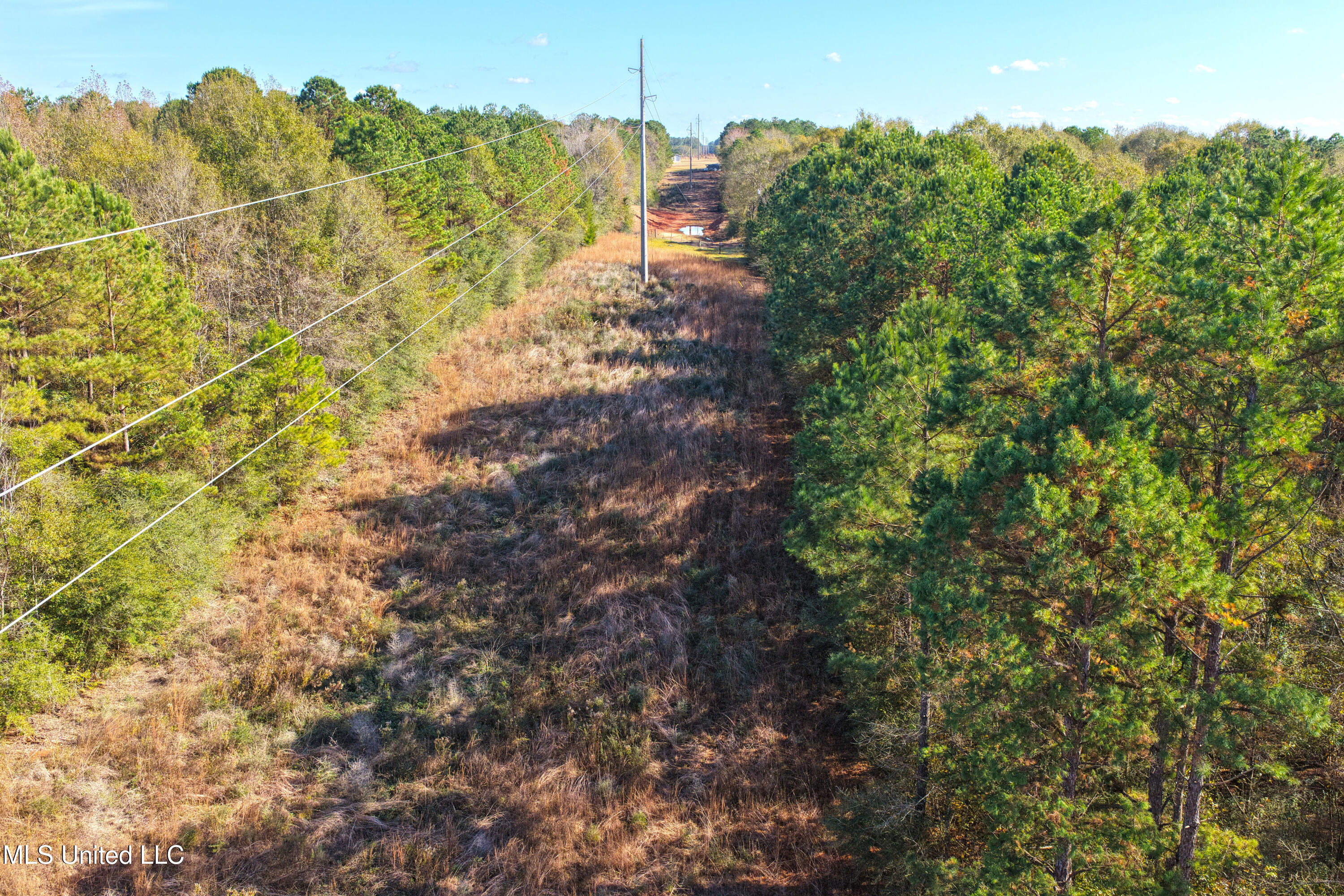 Tamchelle Road Property Photo 22
