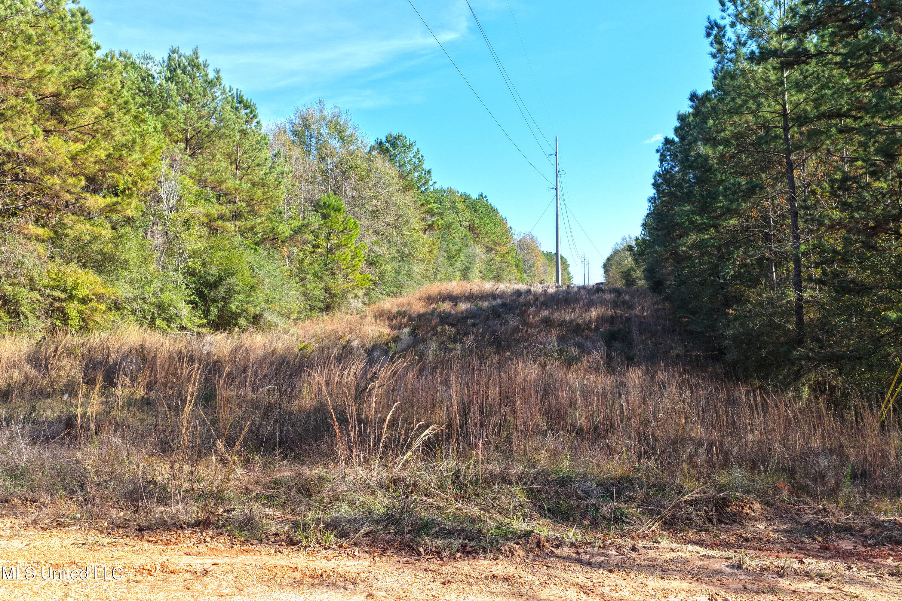 Tamchelle Road Property Photo 23