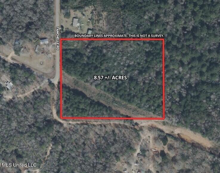 Tamchelle Road Property Photo 24