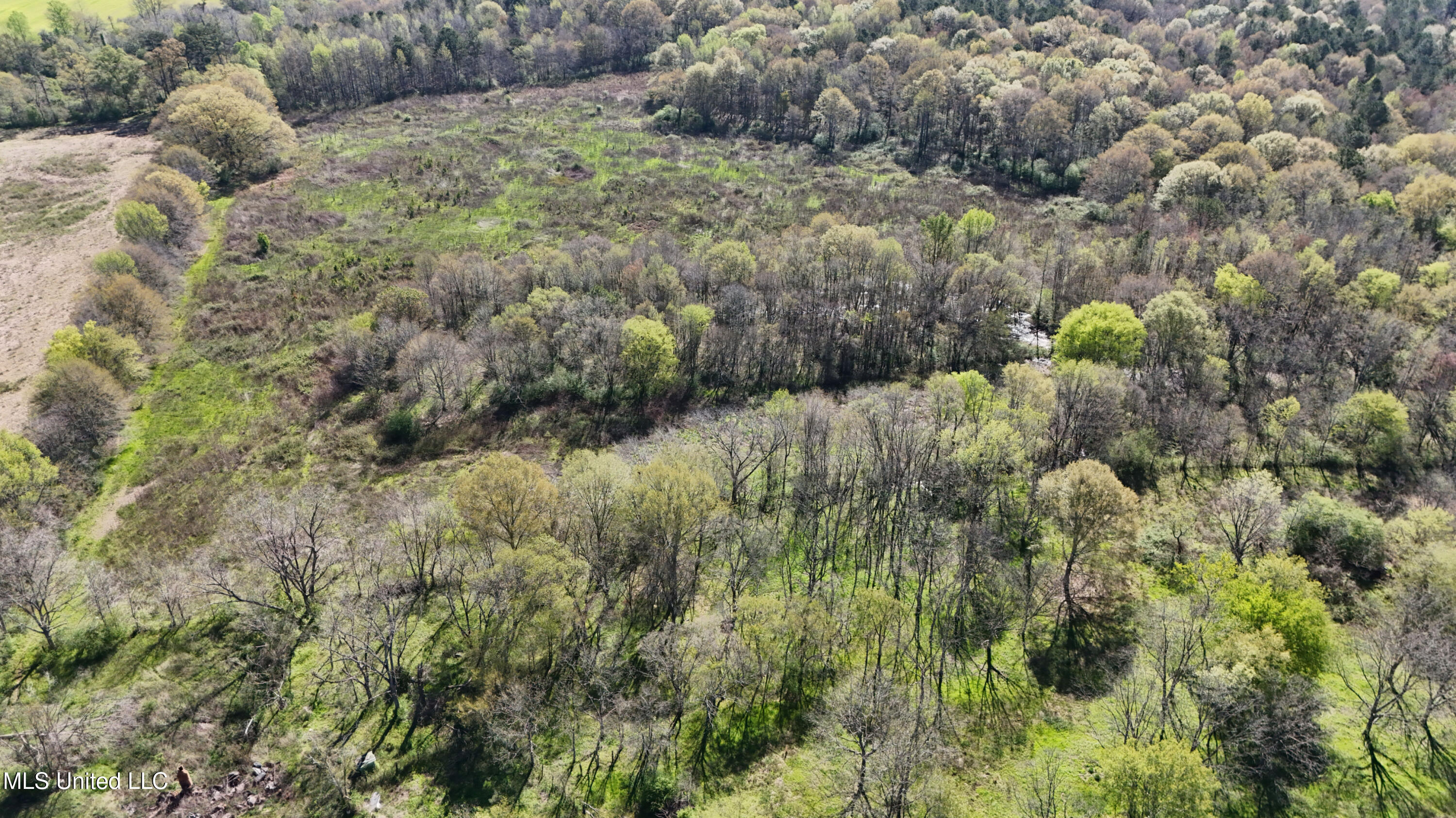 Thrash Road Property Photo 4