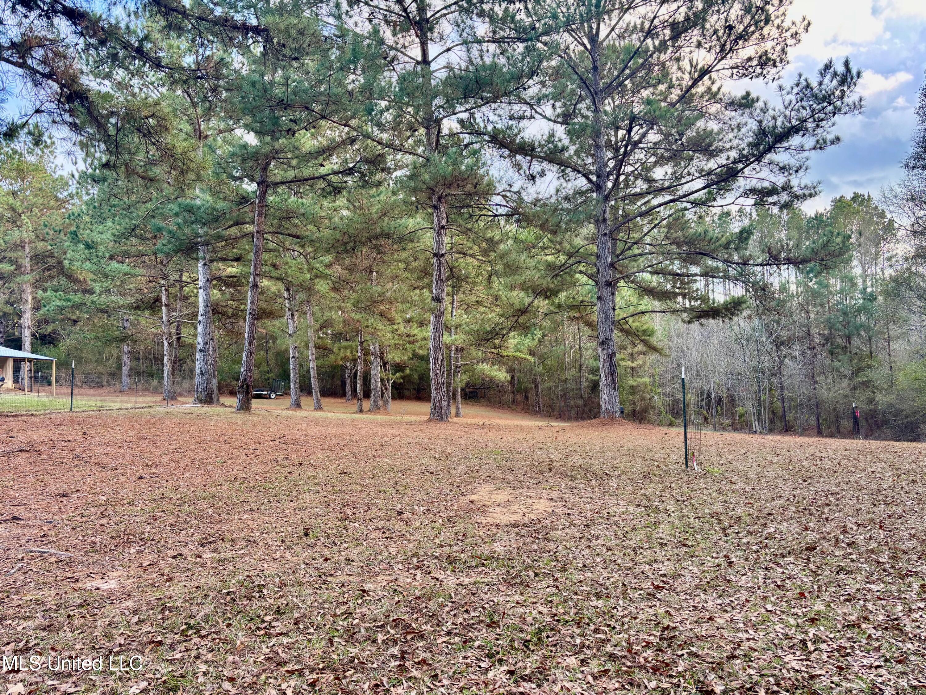 1614 Hwy 583 Property Photo 21
