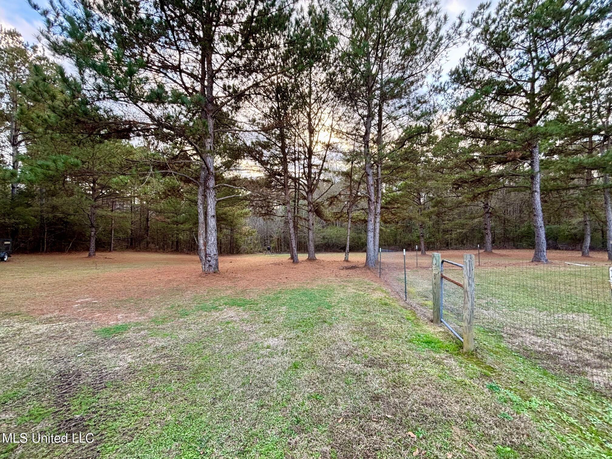 1614 Hwy 583 Property Photo 22