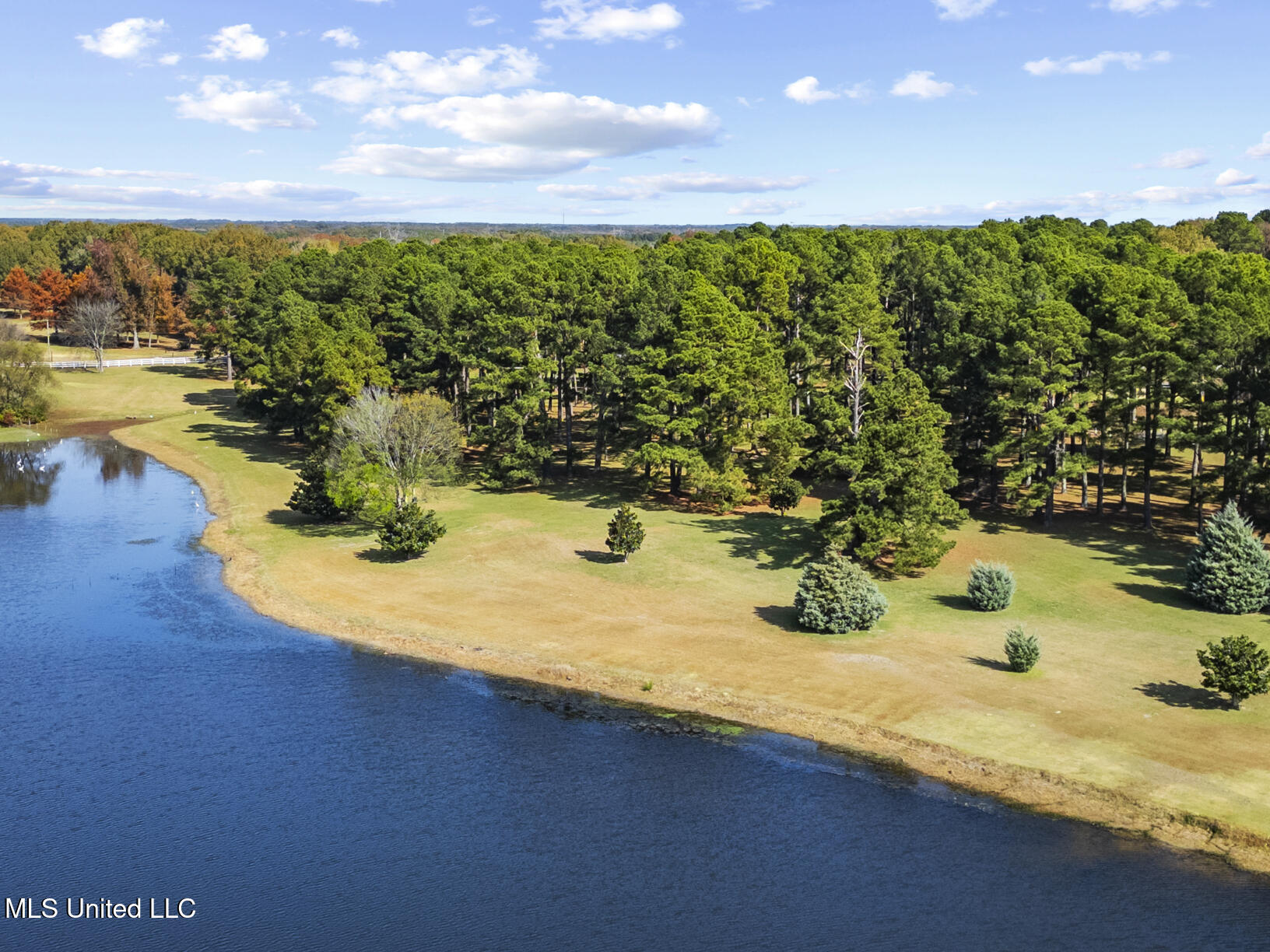1039 Cedar Hill Road Property Photo 4