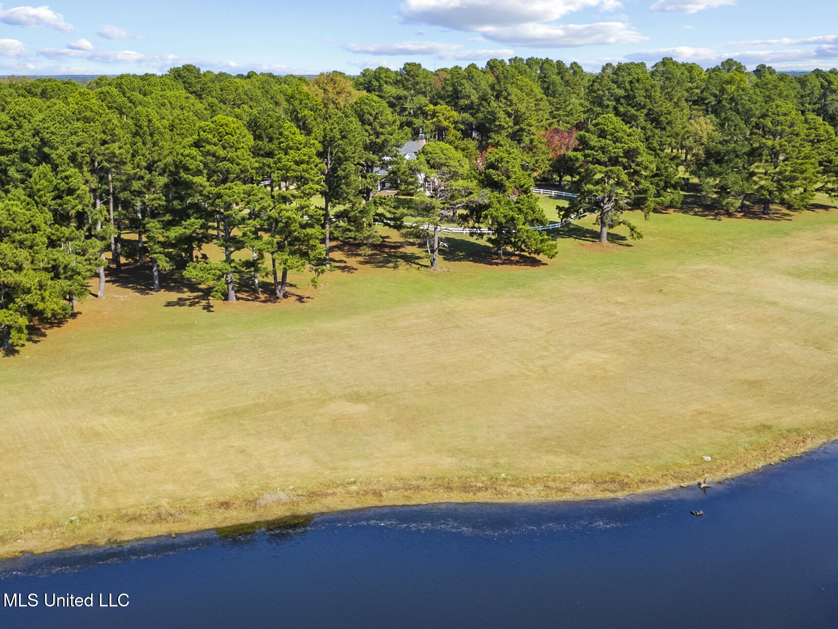 1039 Cedar Hill Road Property Photo 5
