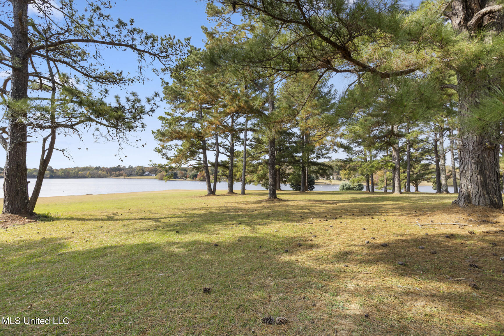 1039 Cedar Hill Road Property Photo 79