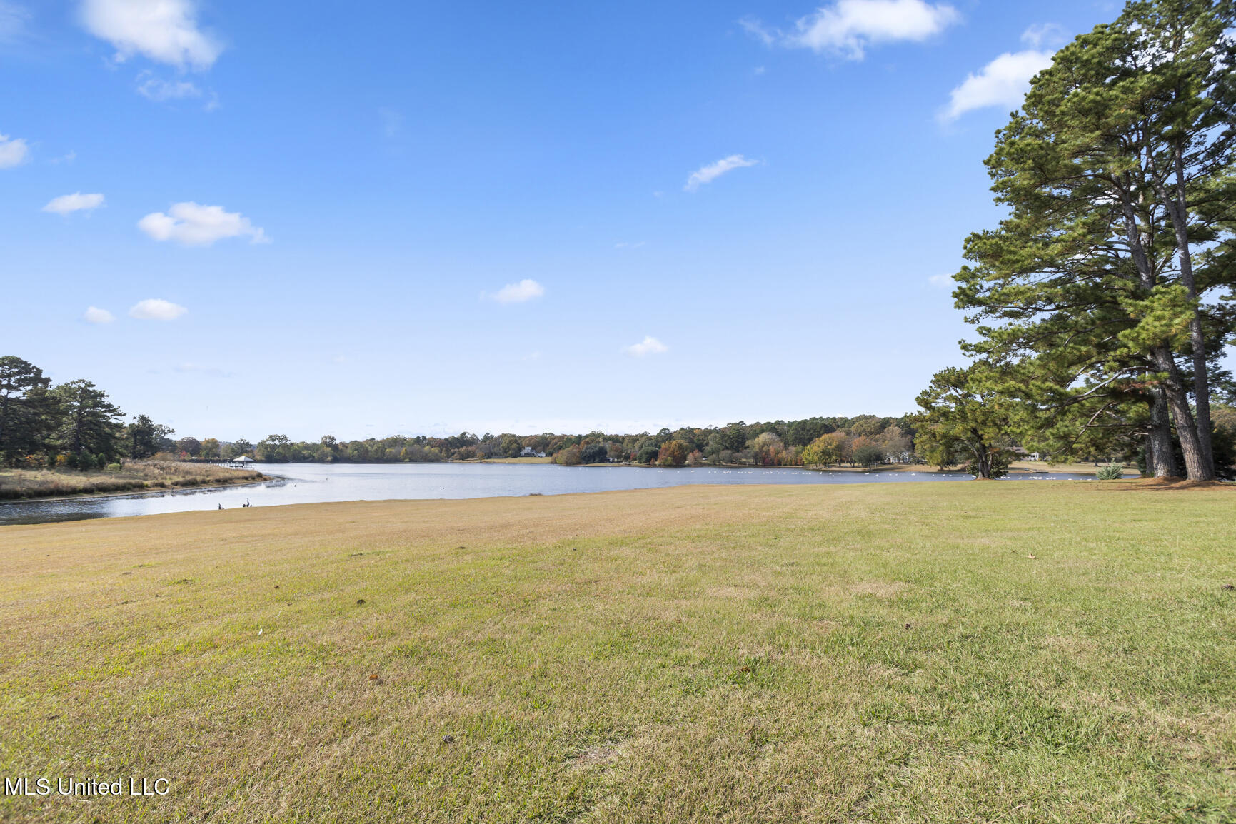 1039 Cedar Hill Road Property Photo 80