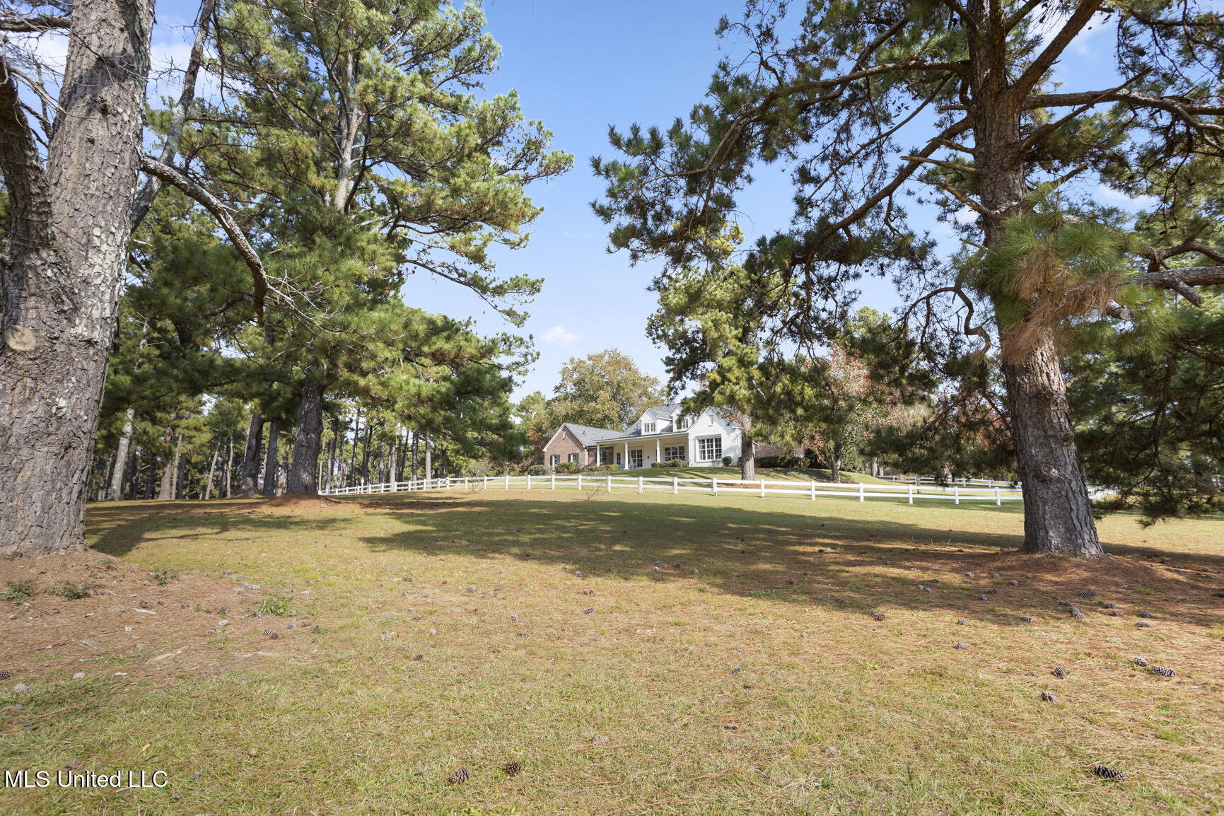 1039 Cedar Hill Road Property Photo 81