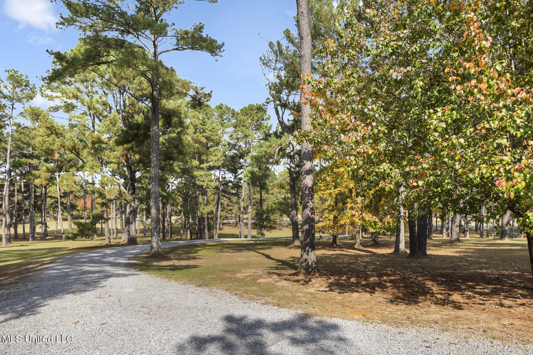 1039 Cedar Hill Road Property Photo 85