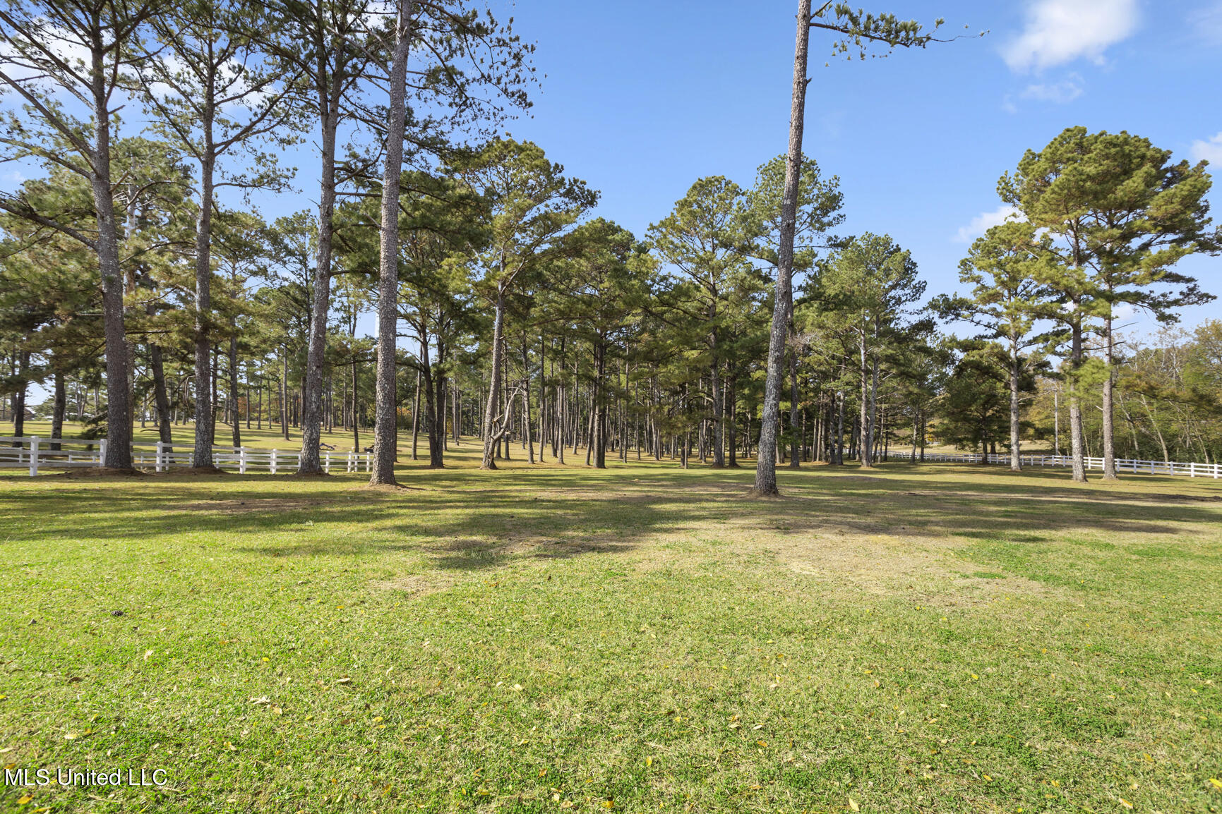 1039 Cedar Hill Road Property Photo 92
