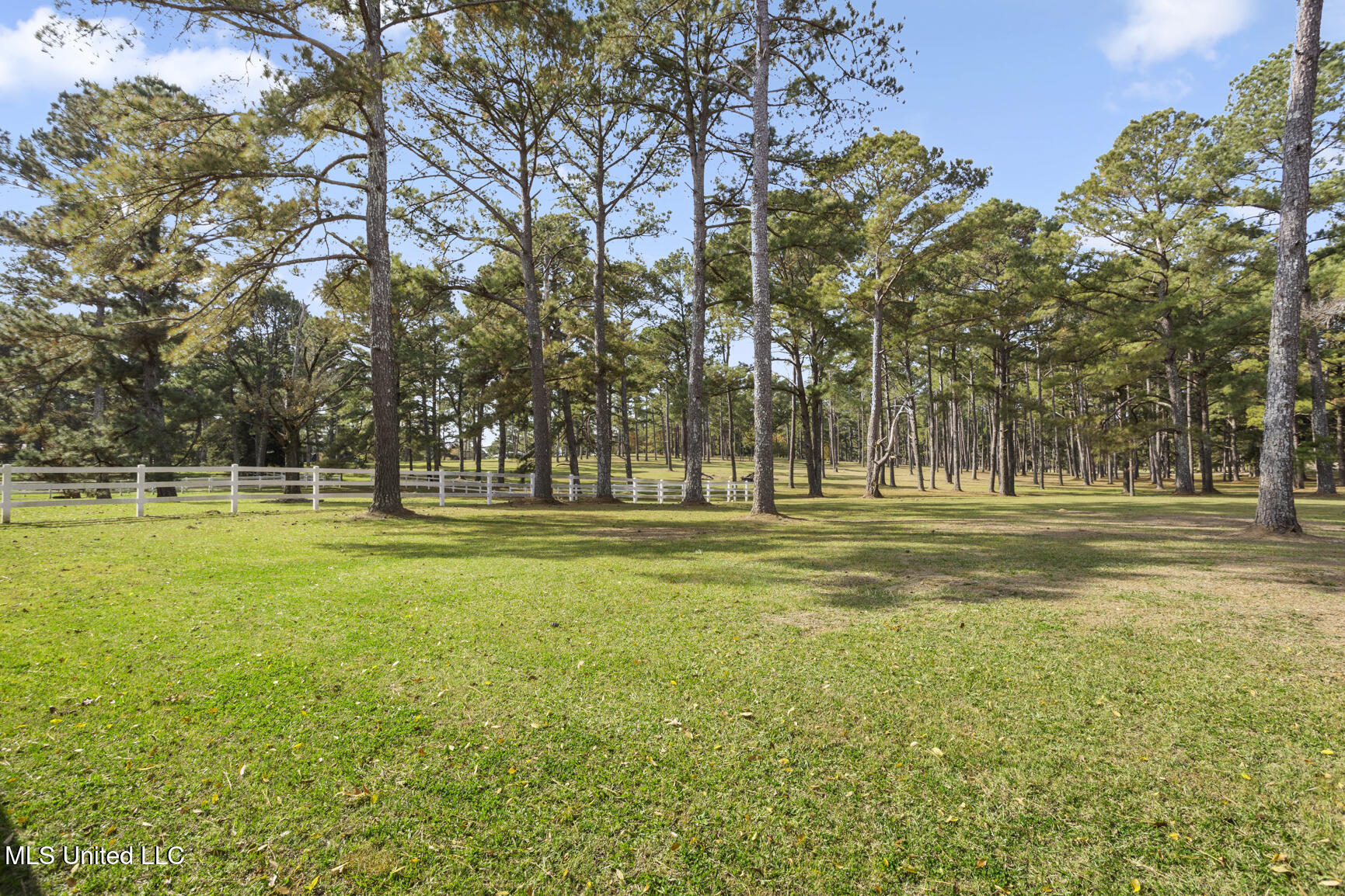 1039 Cedar Hill Road Property Photo 93