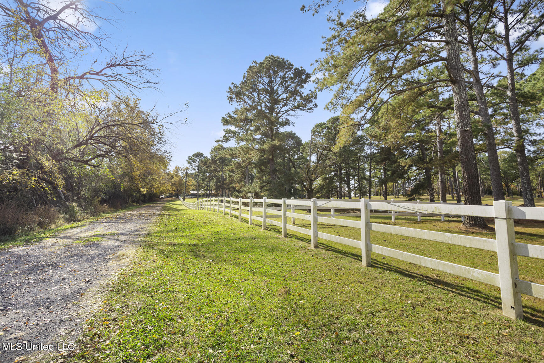 1039 Cedar Hill Road Property Photo 94