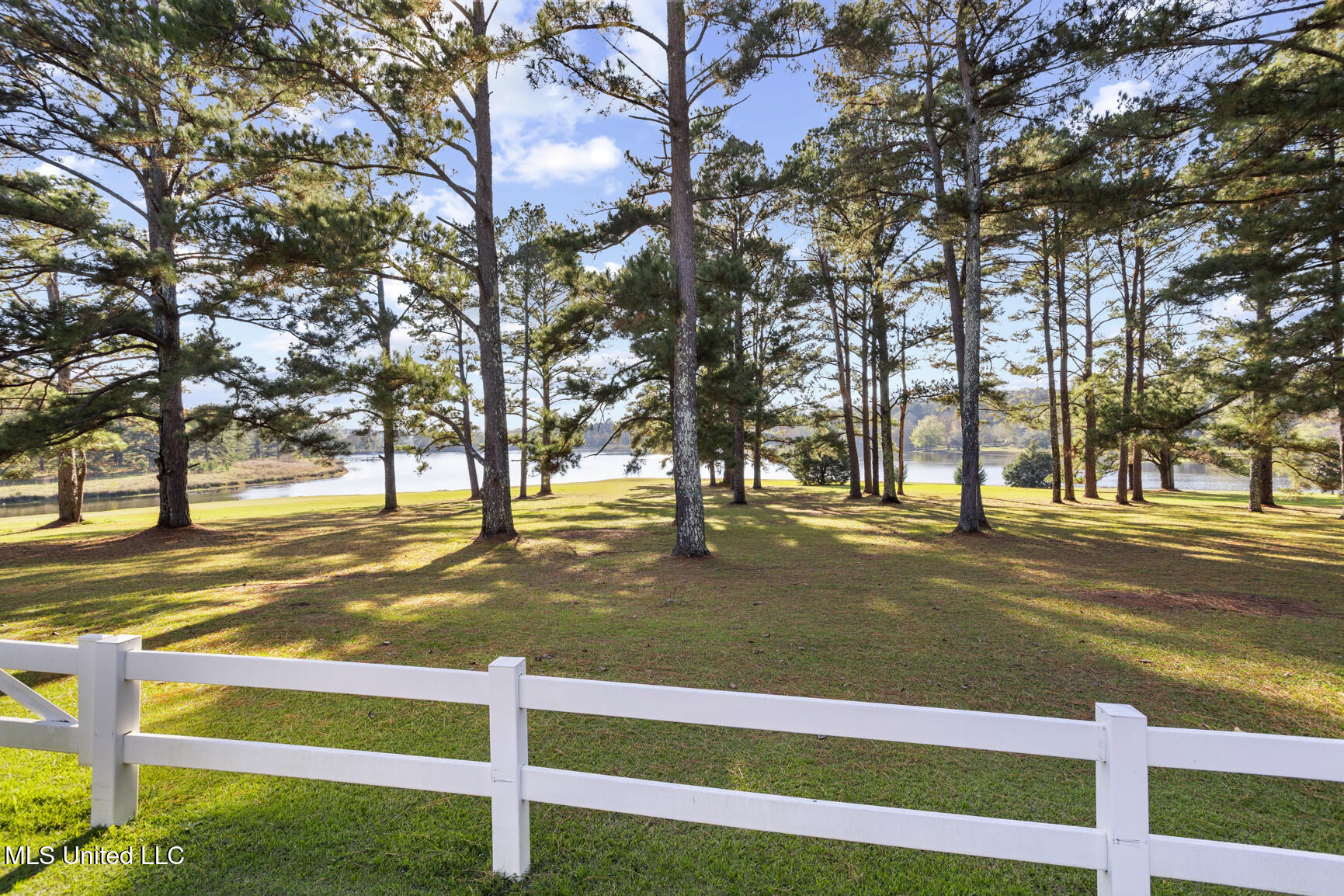 1039 Cedar Hill Road Property Photo 102