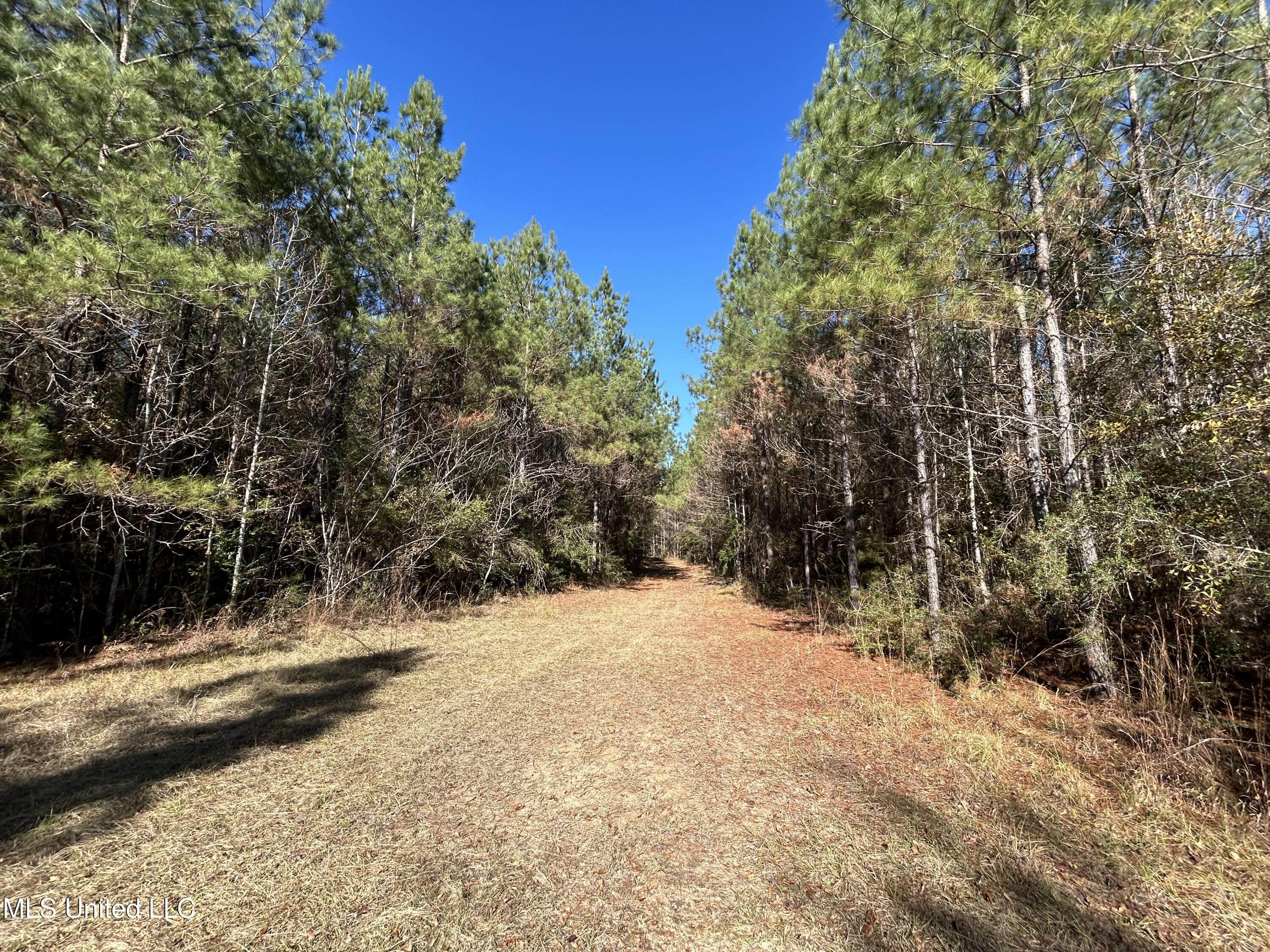 . Dwain Road Property Photo 1