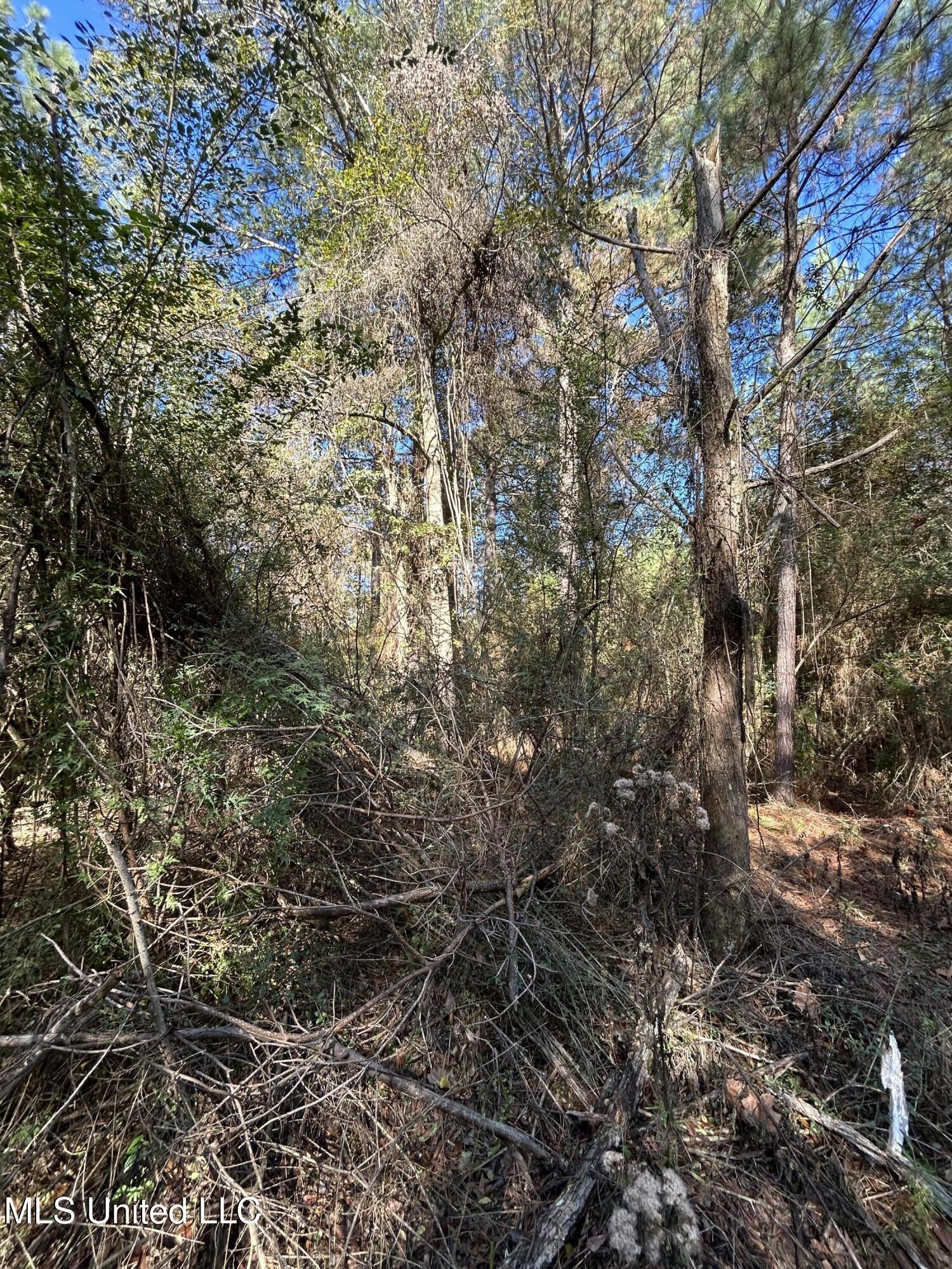 . Dwain Road Property Photo 2