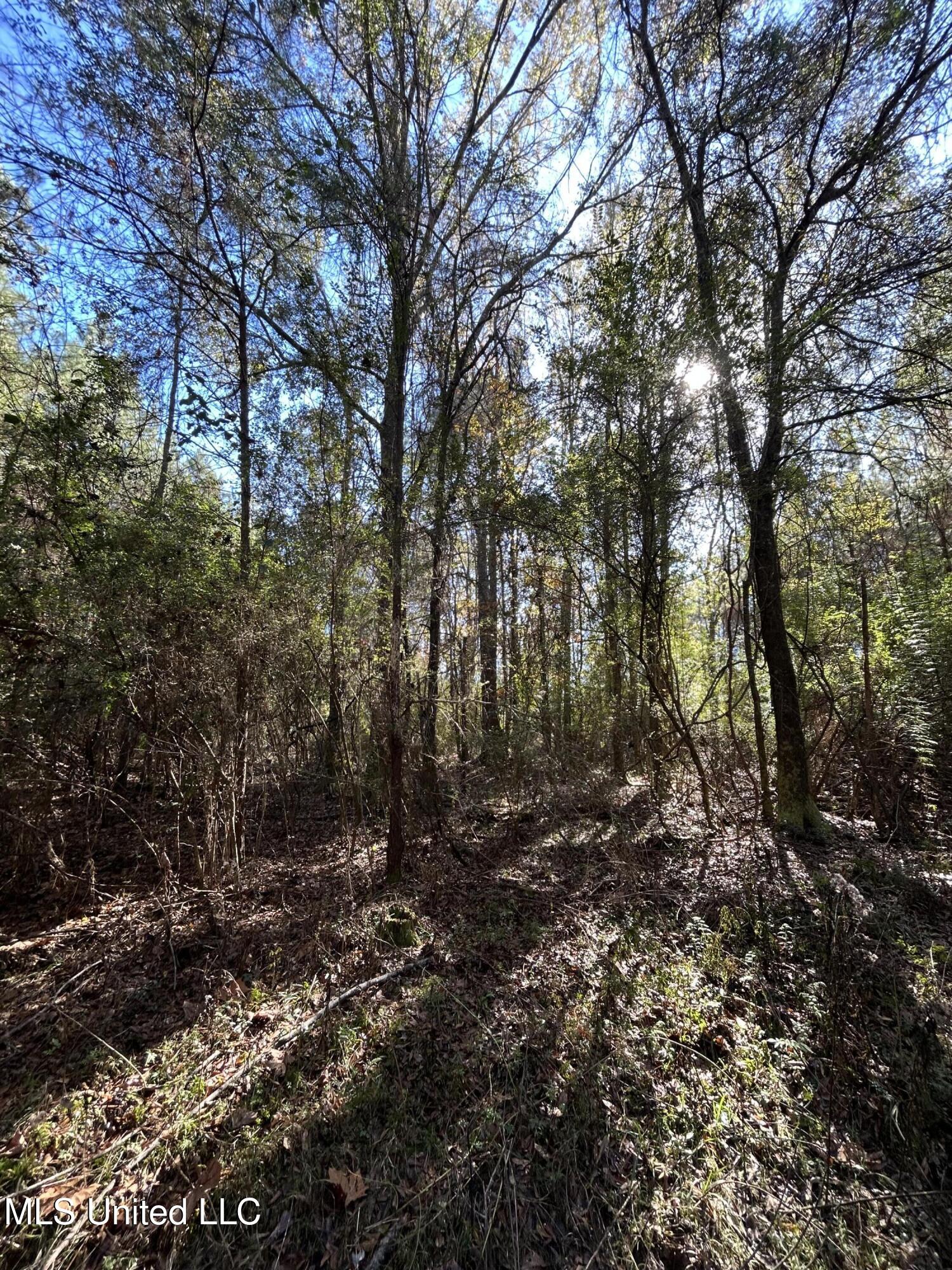 . Dwain Road Property Photo 3