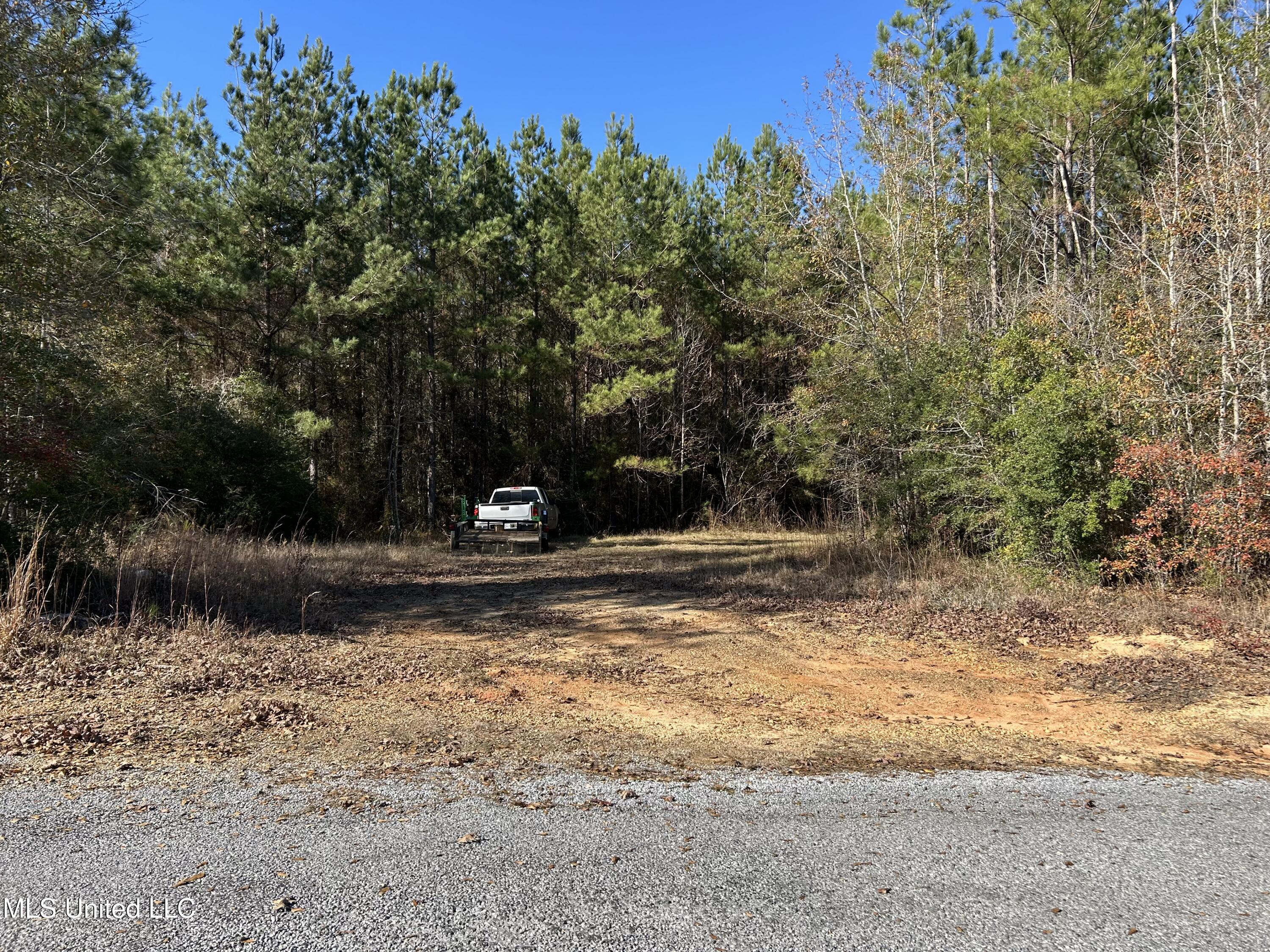 . Dwain Road Property Photo 5