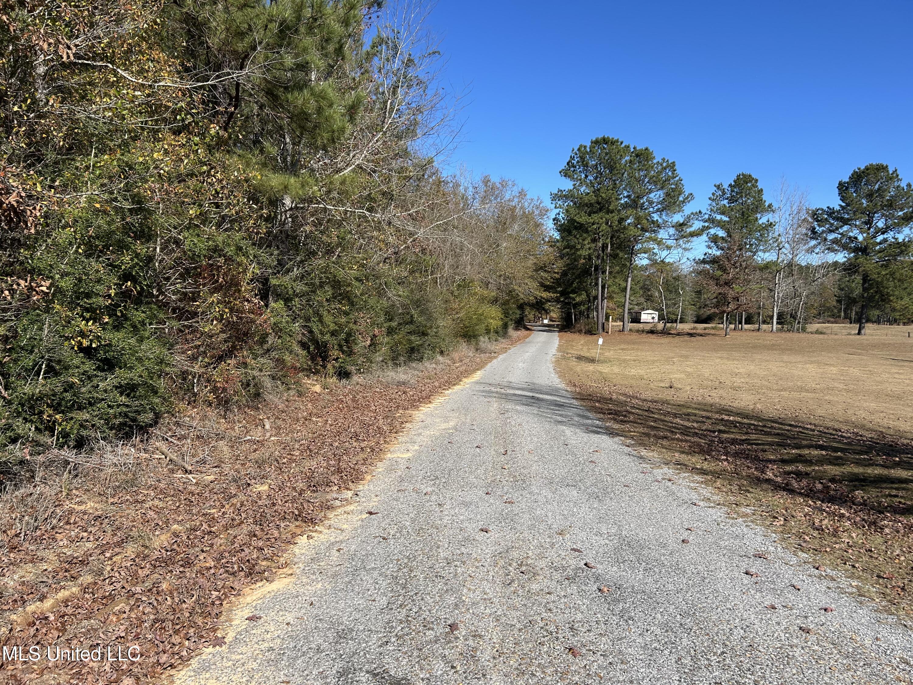 . Dwain Road Property Photo 6