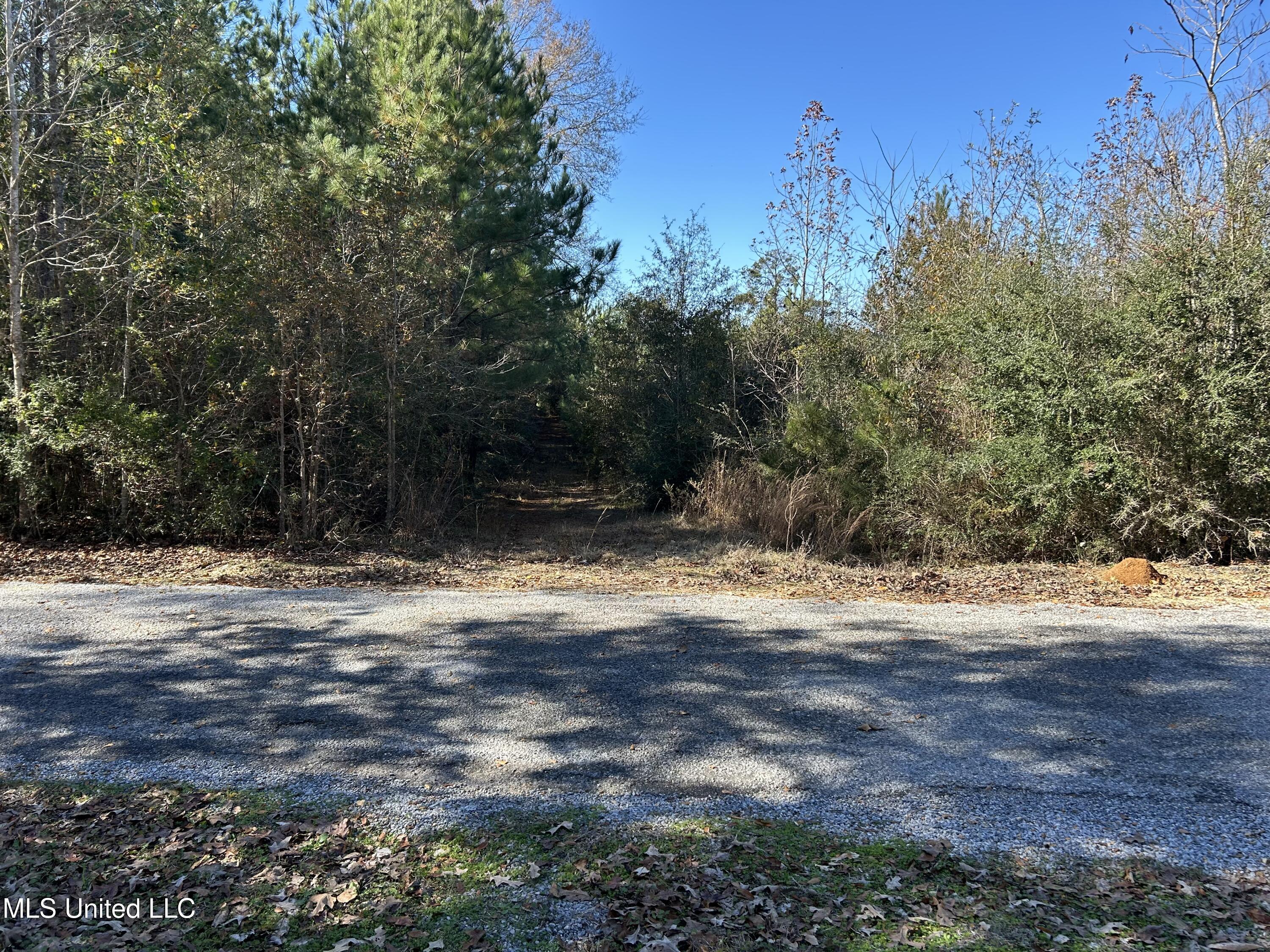 . Dwain Road Property Photo 7