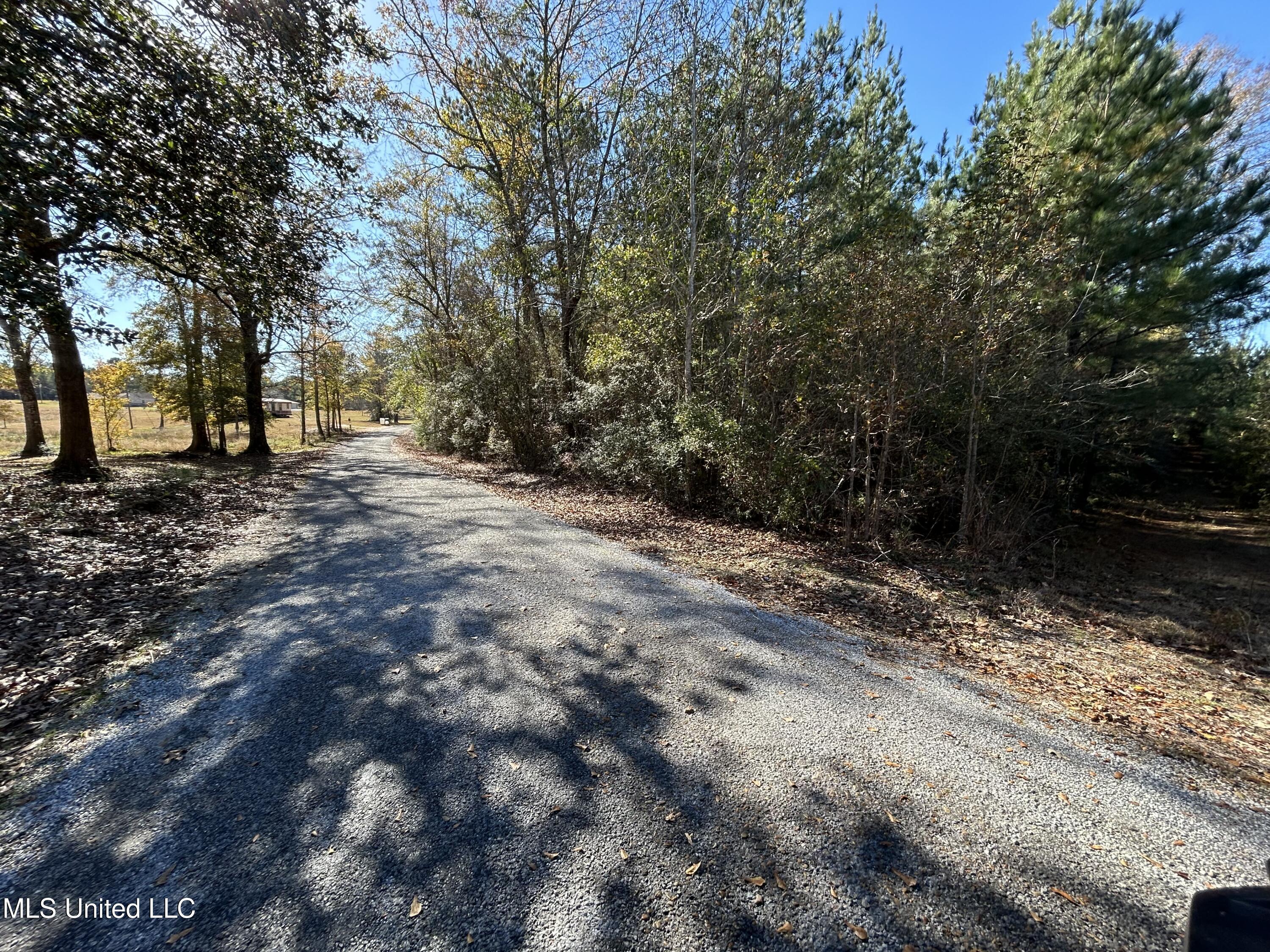 . Dwain Road Property Photo 8