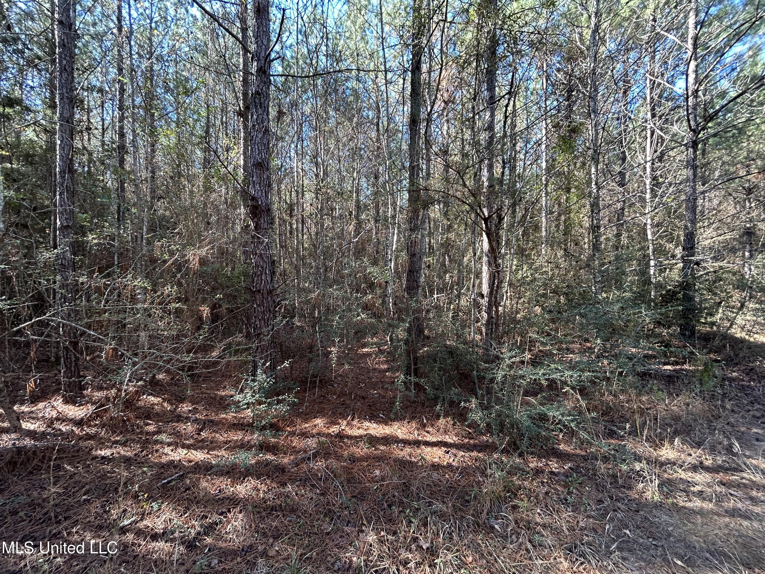 . Dwain Road Property Photo 9