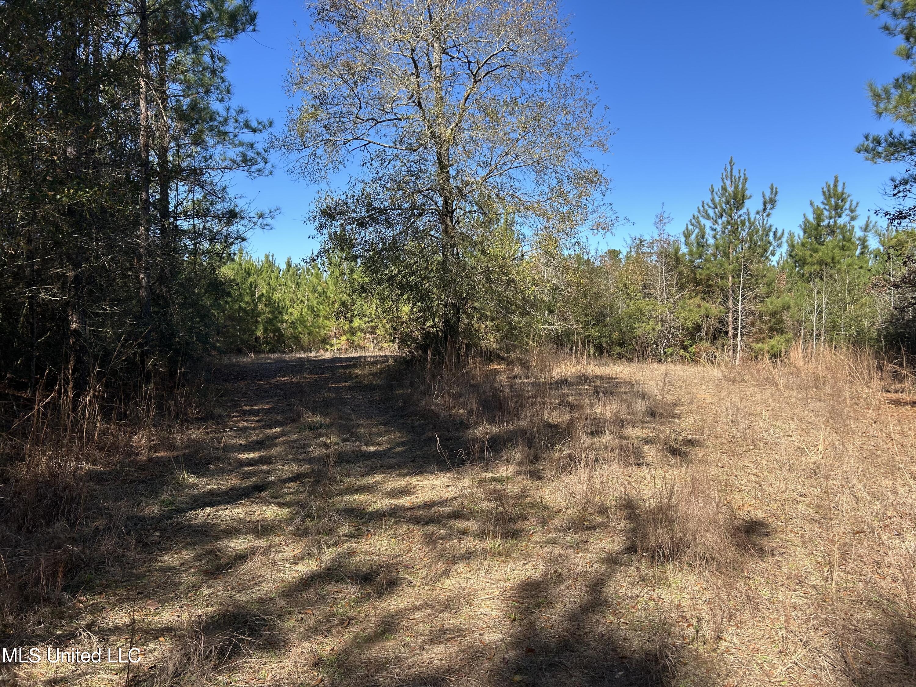 . Dwain Road Property Photo 11