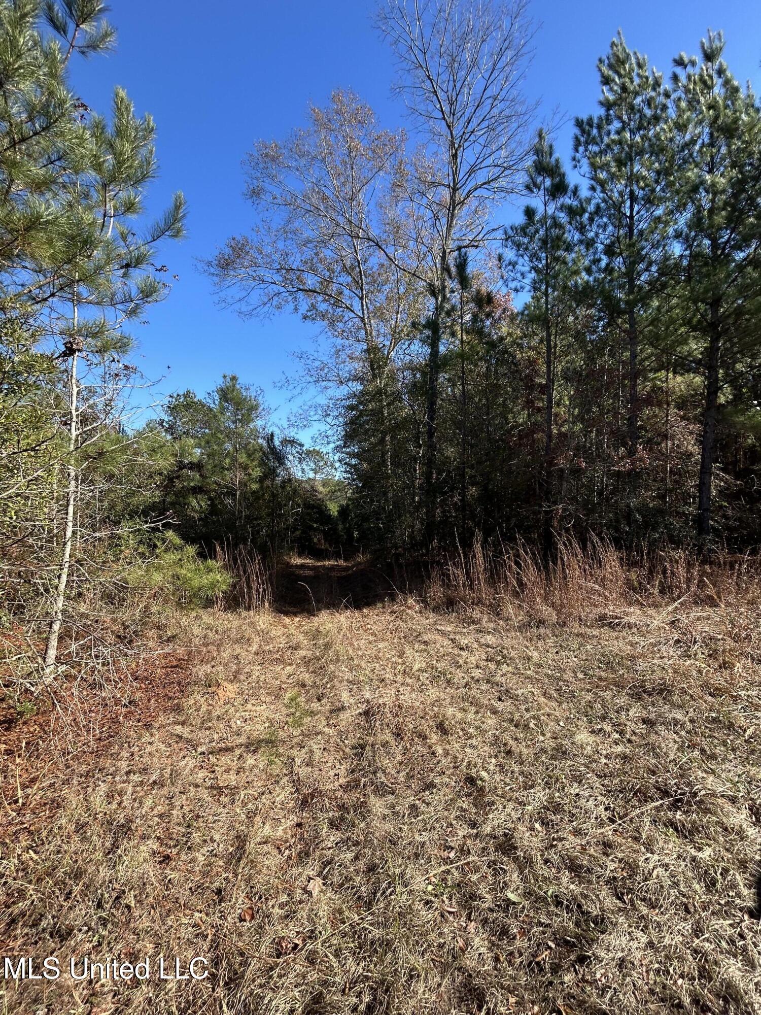 . Dwain Road Property Photo 12
