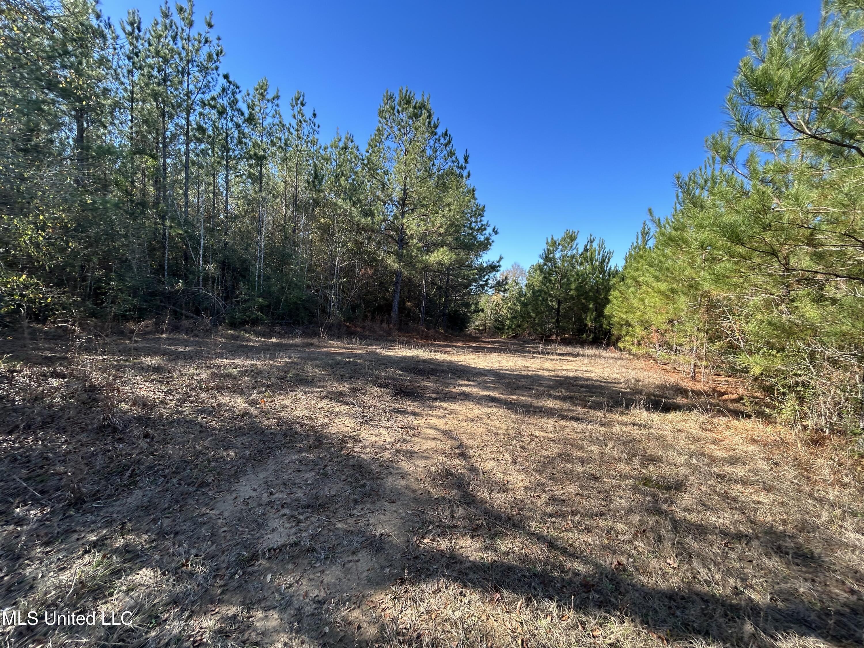 . Dwain Road Property Photo 13