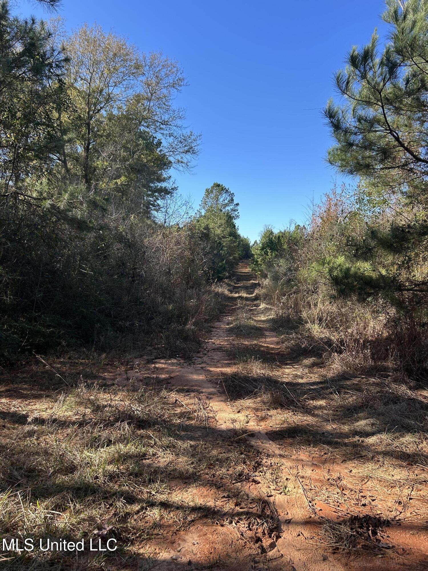 . Dwain Road Property Photo 14