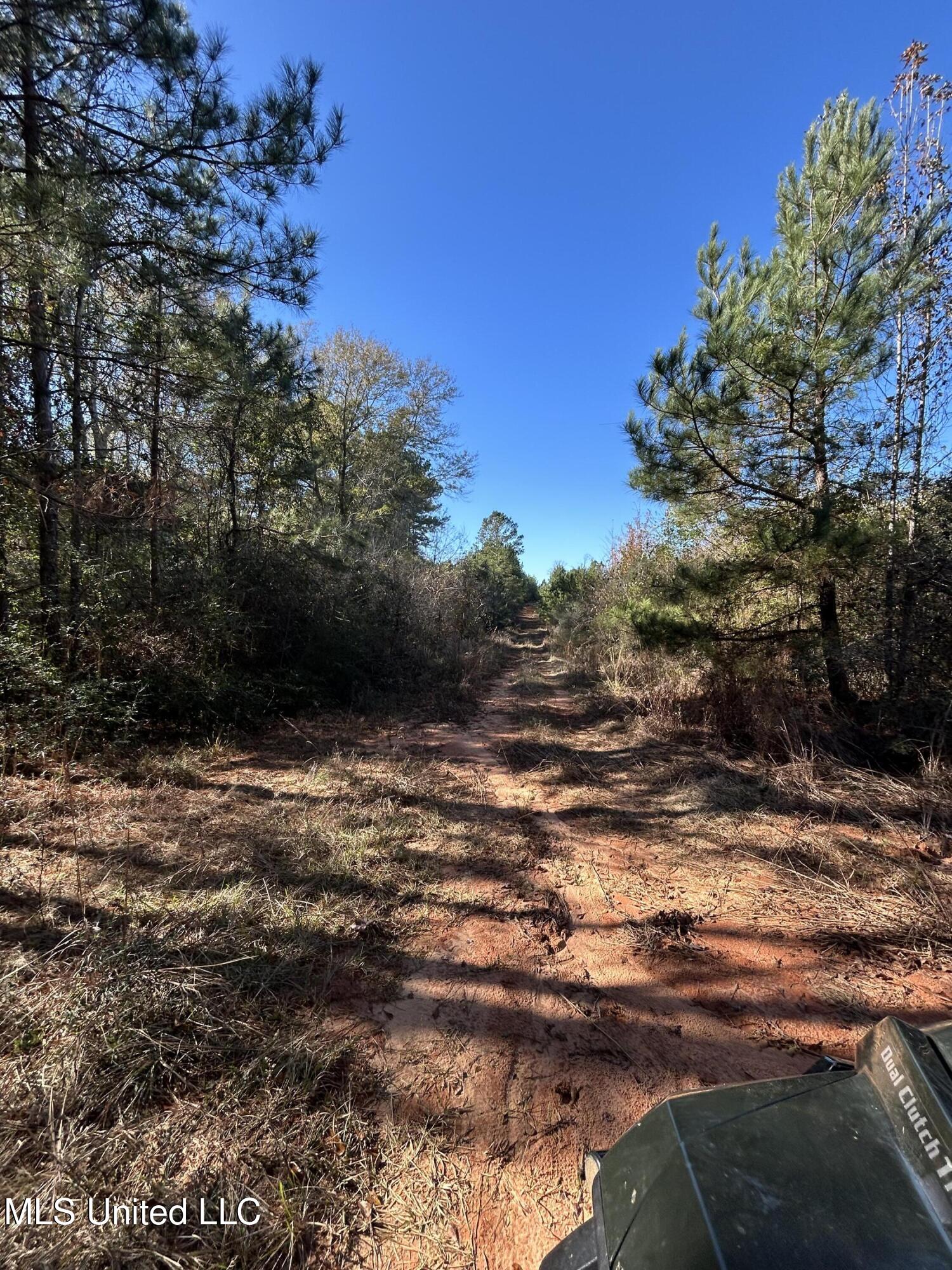 . Dwain Road Property Photo 15