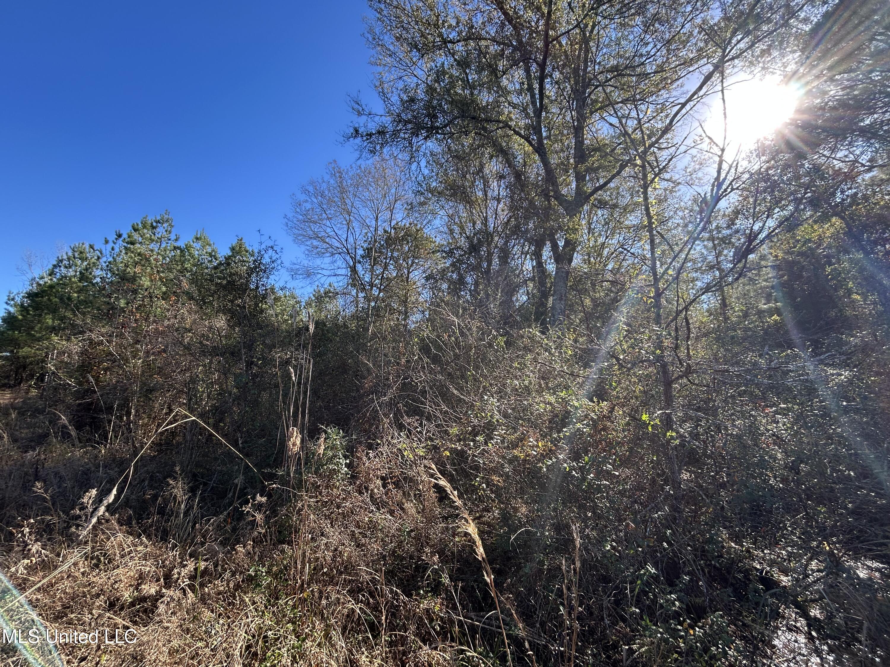 . Dwain Road Property Photo 17