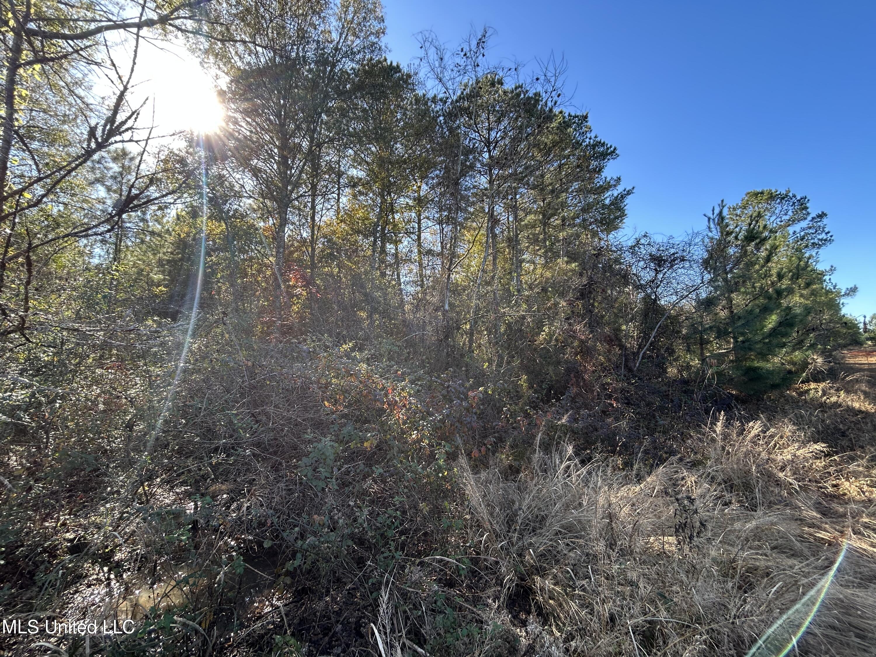 . Dwain Road Property Photo 18