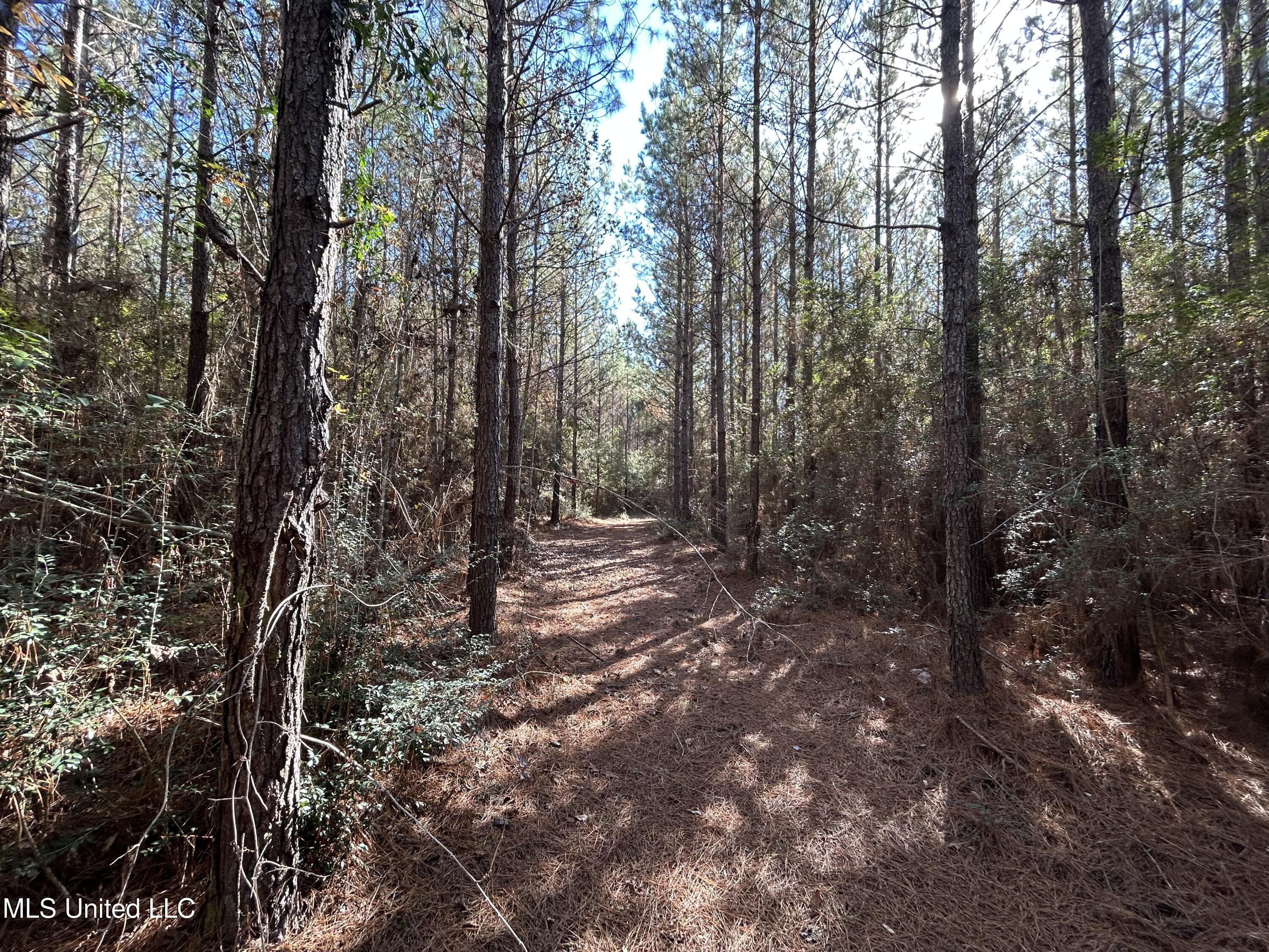 . Dwain Road Property Photo 19