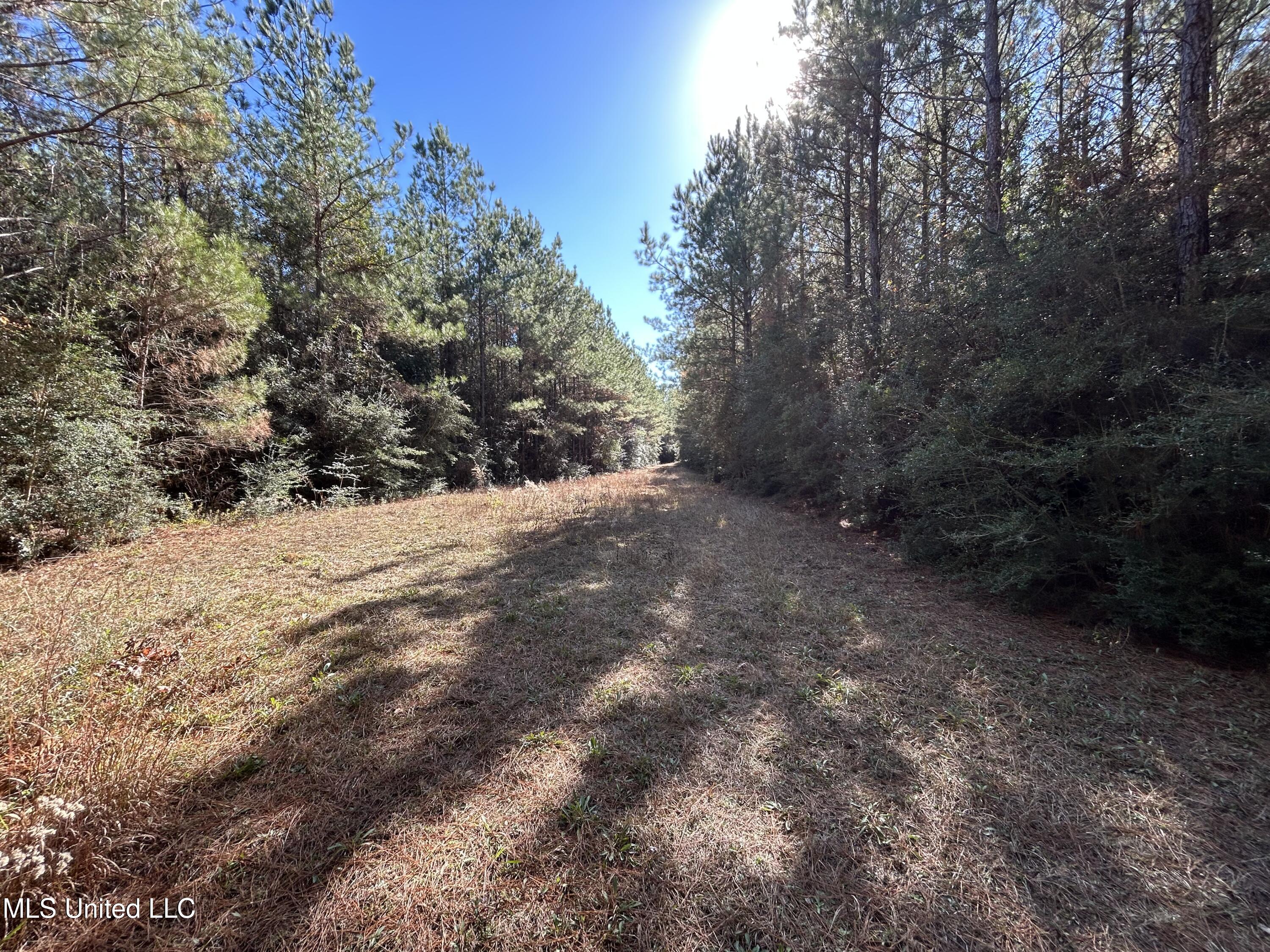 . Dwain Road Property Photo 20