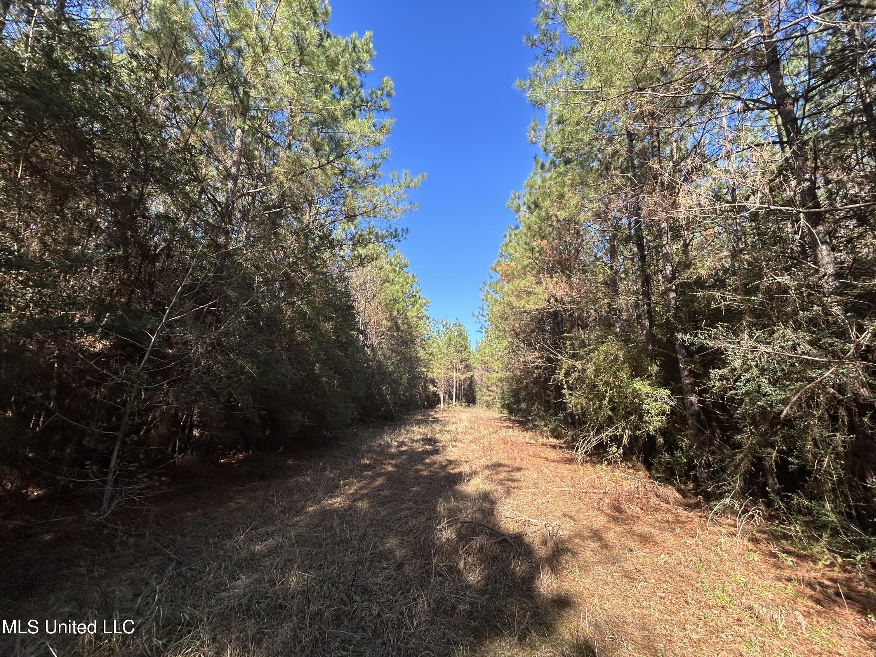. Dwain Road Property Photo 21
