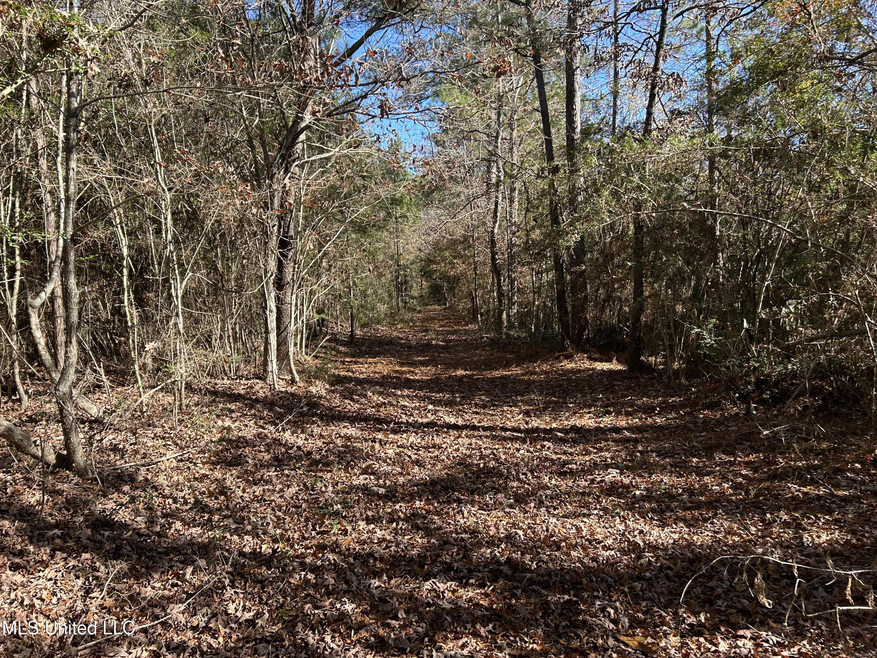 . Dwain Road Property Photo 22