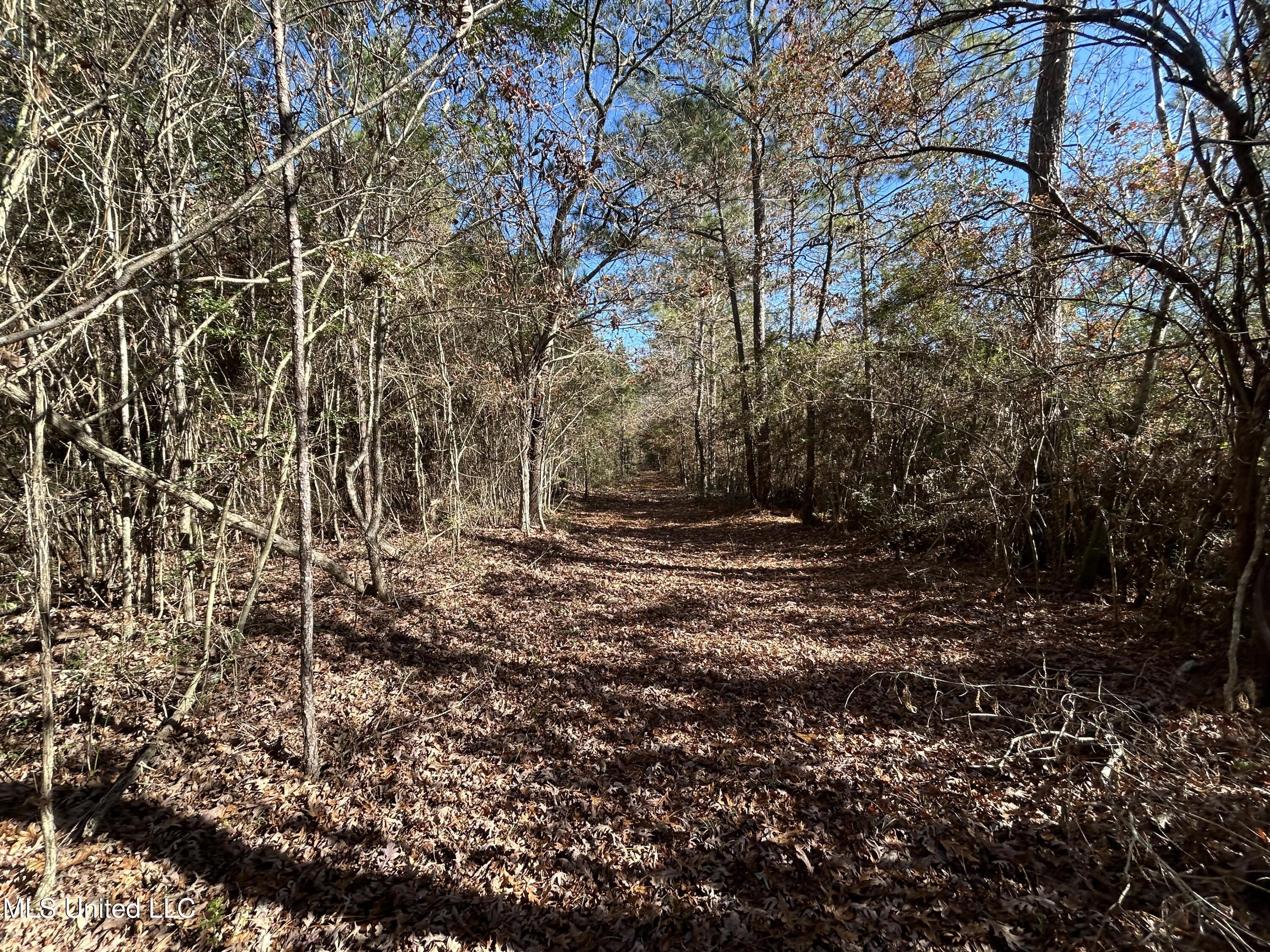 . Dwain Road Property Photo 23