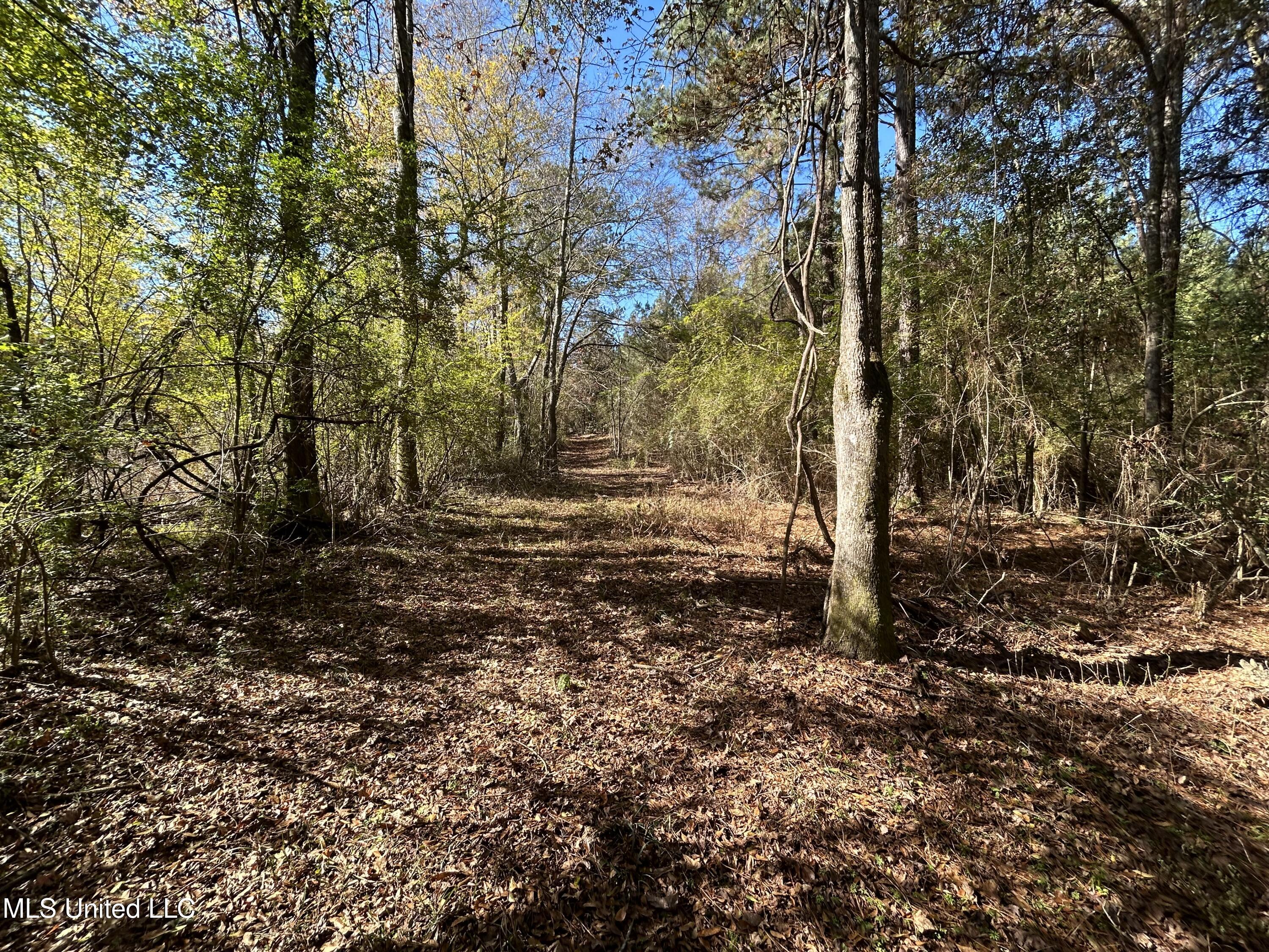. Dwain Road Property Photo 24