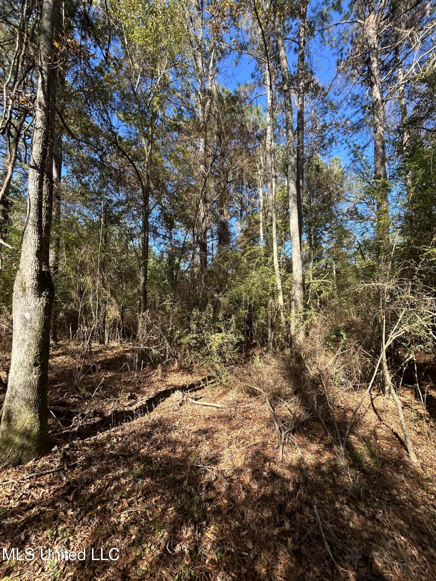 . Dwain Road Property Photo 25