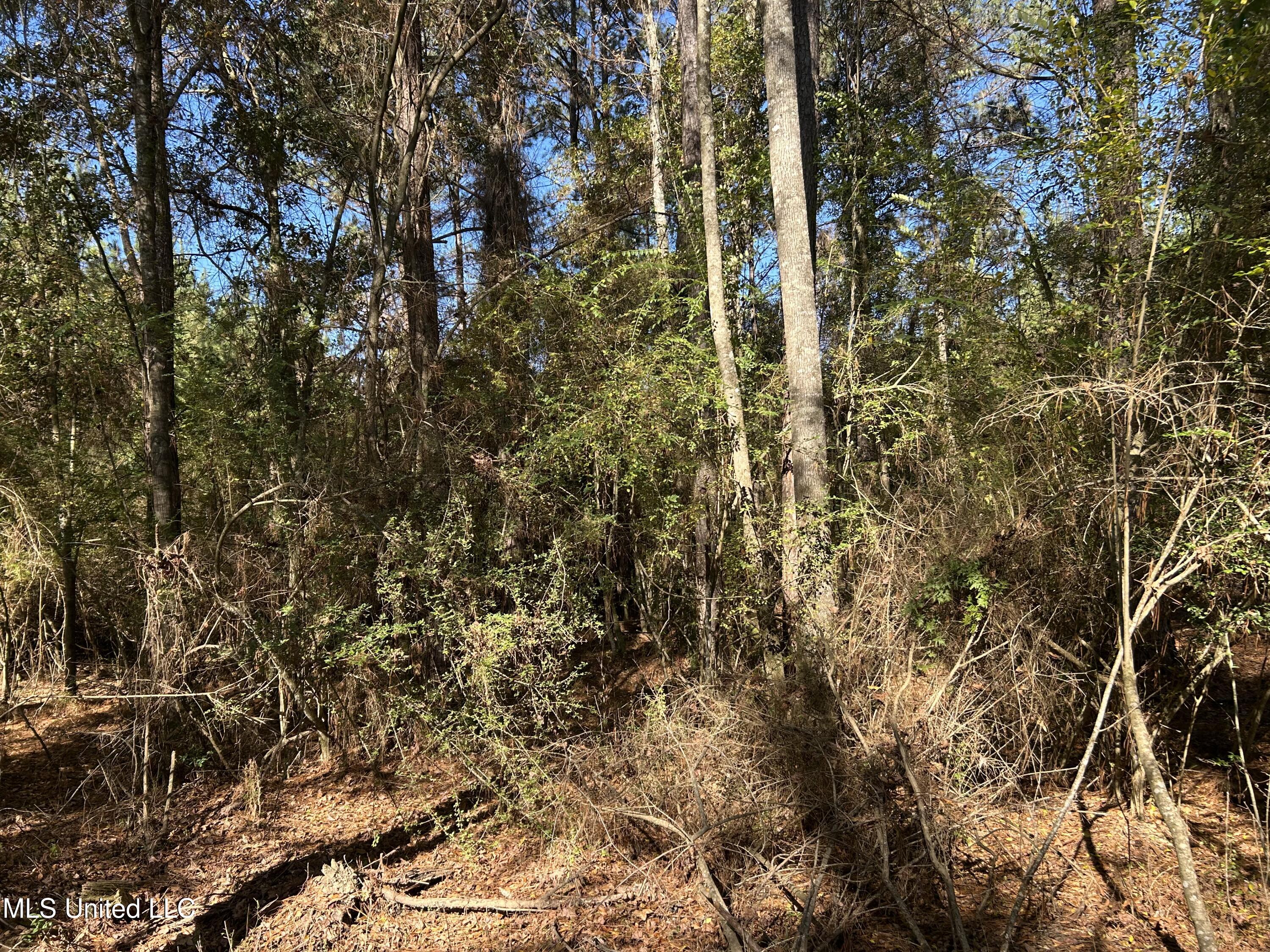 . Dwain Road Property Photo 26