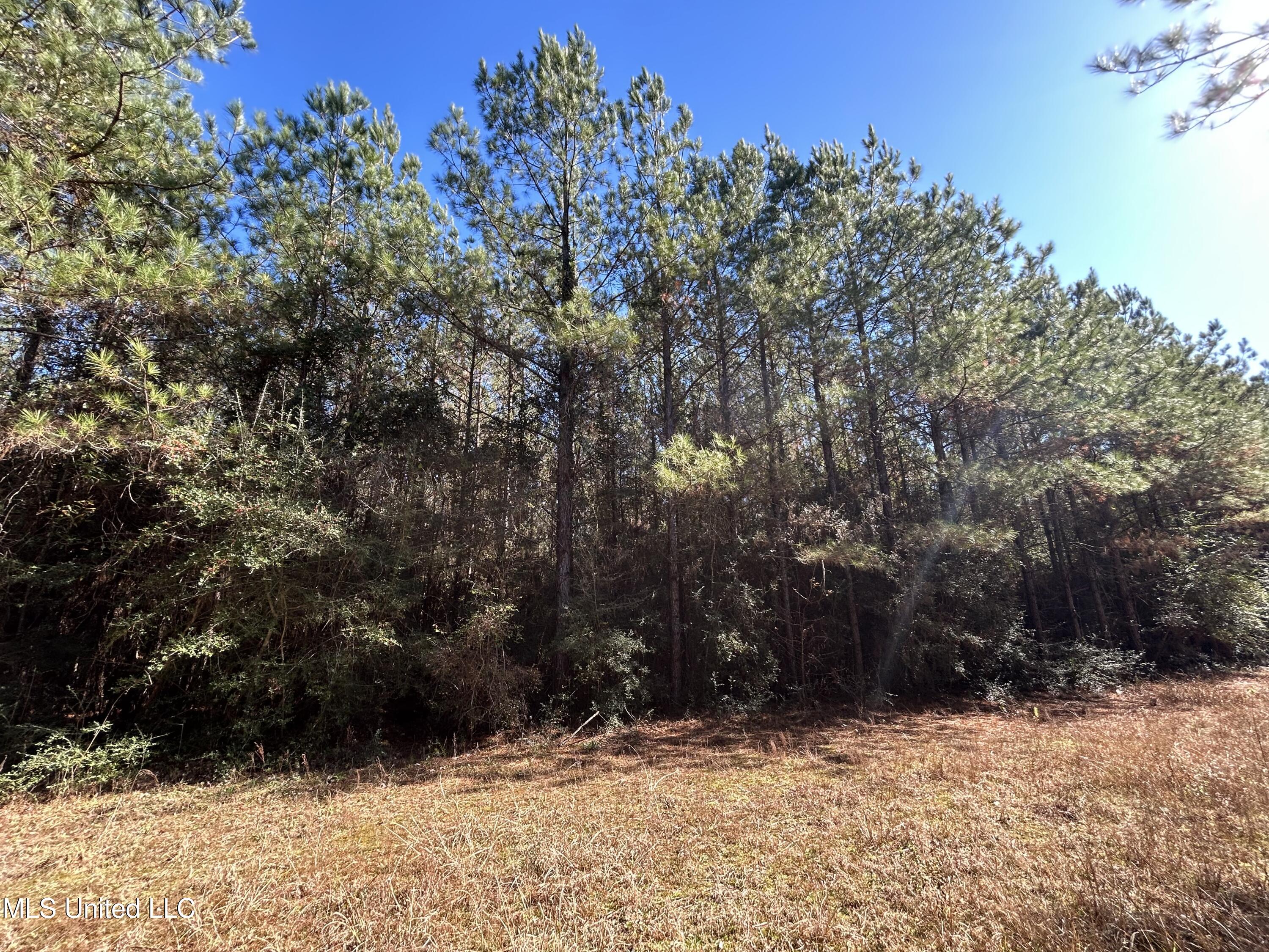 . Dwain Road Property Photo 28