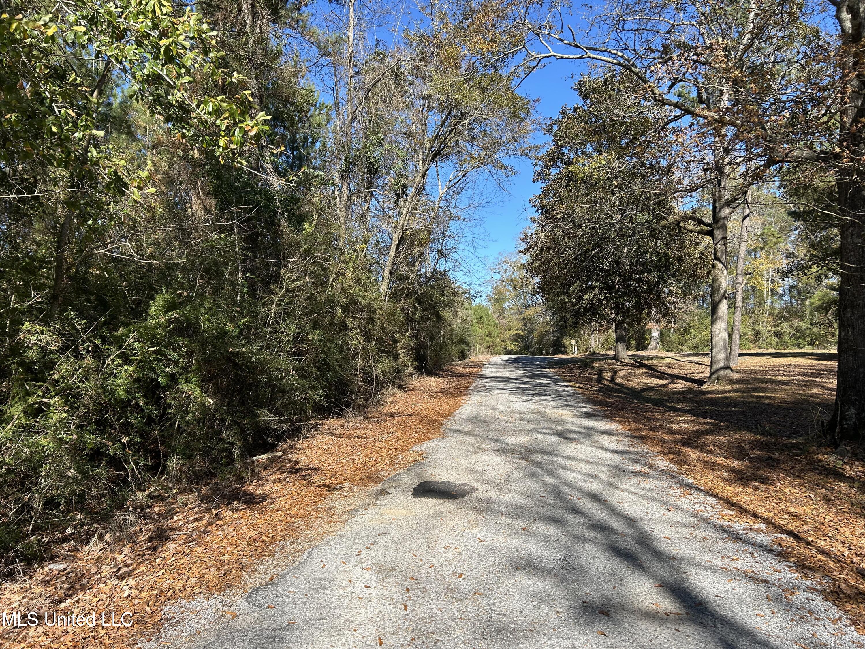 . Dwain Road Property Photo 29