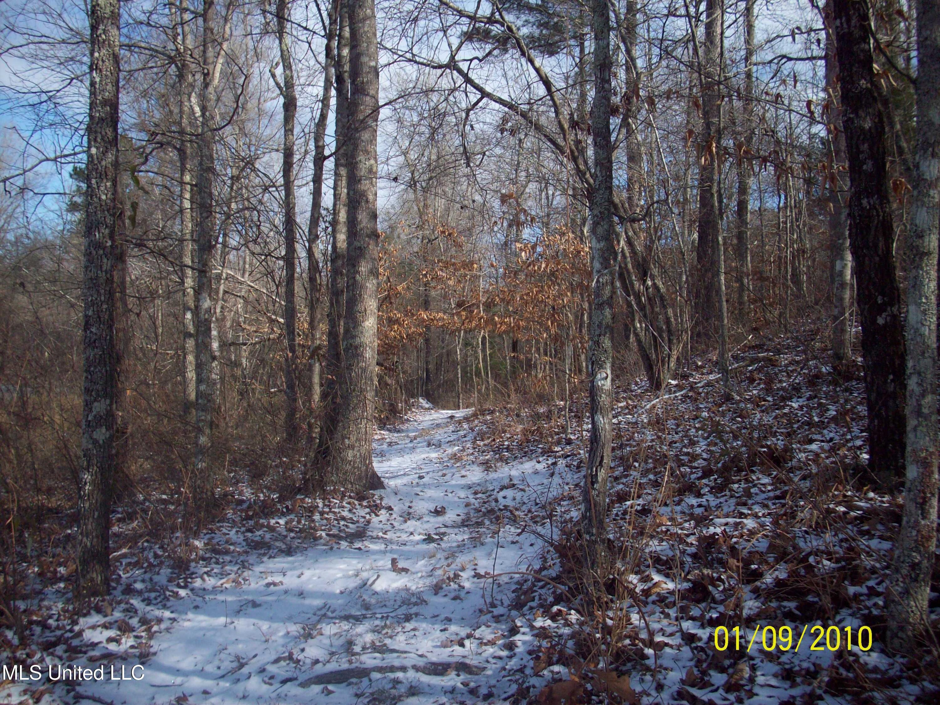 County Road 413 Property Photo 2