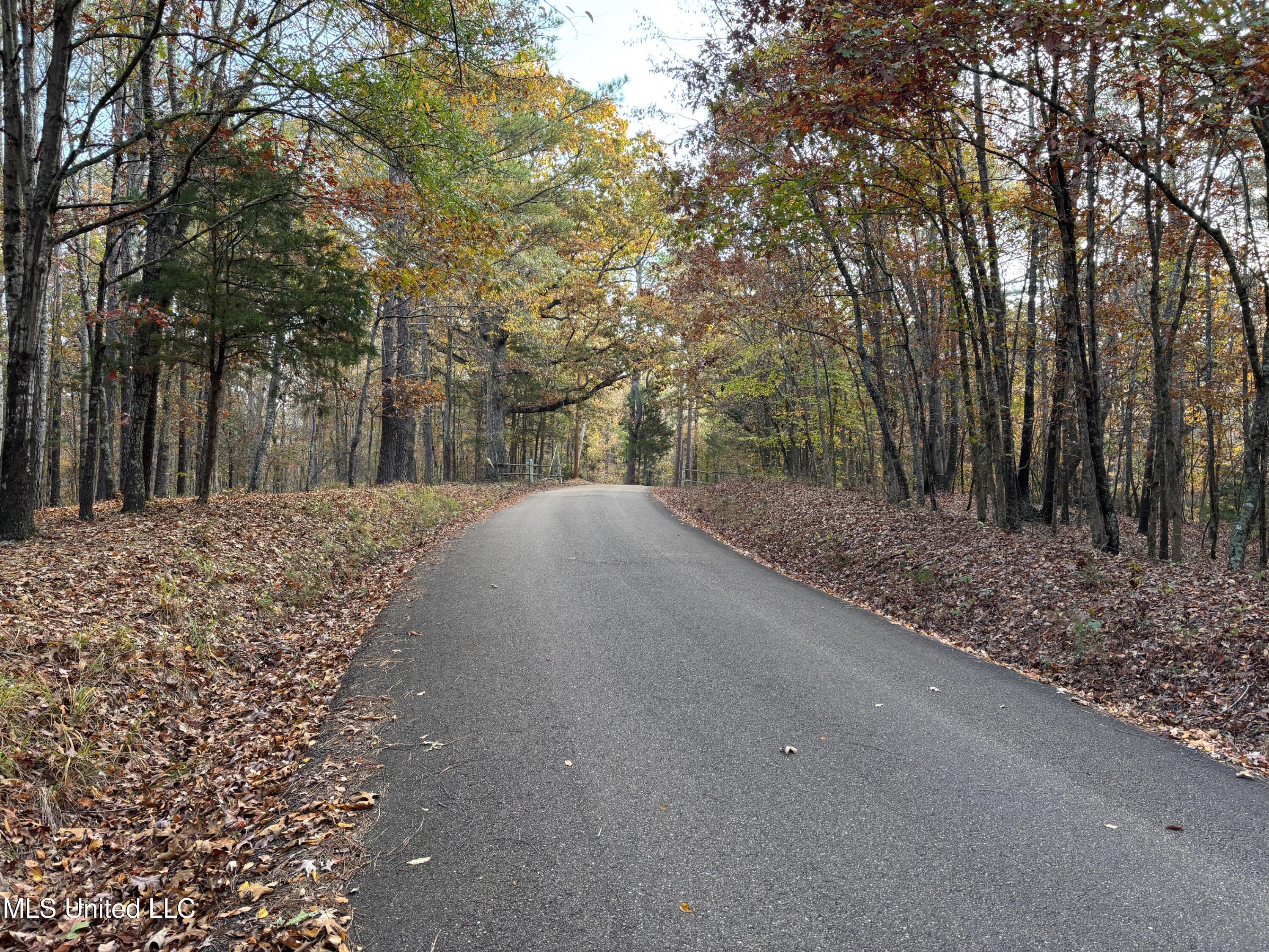 County Road 413 Property Photo 12