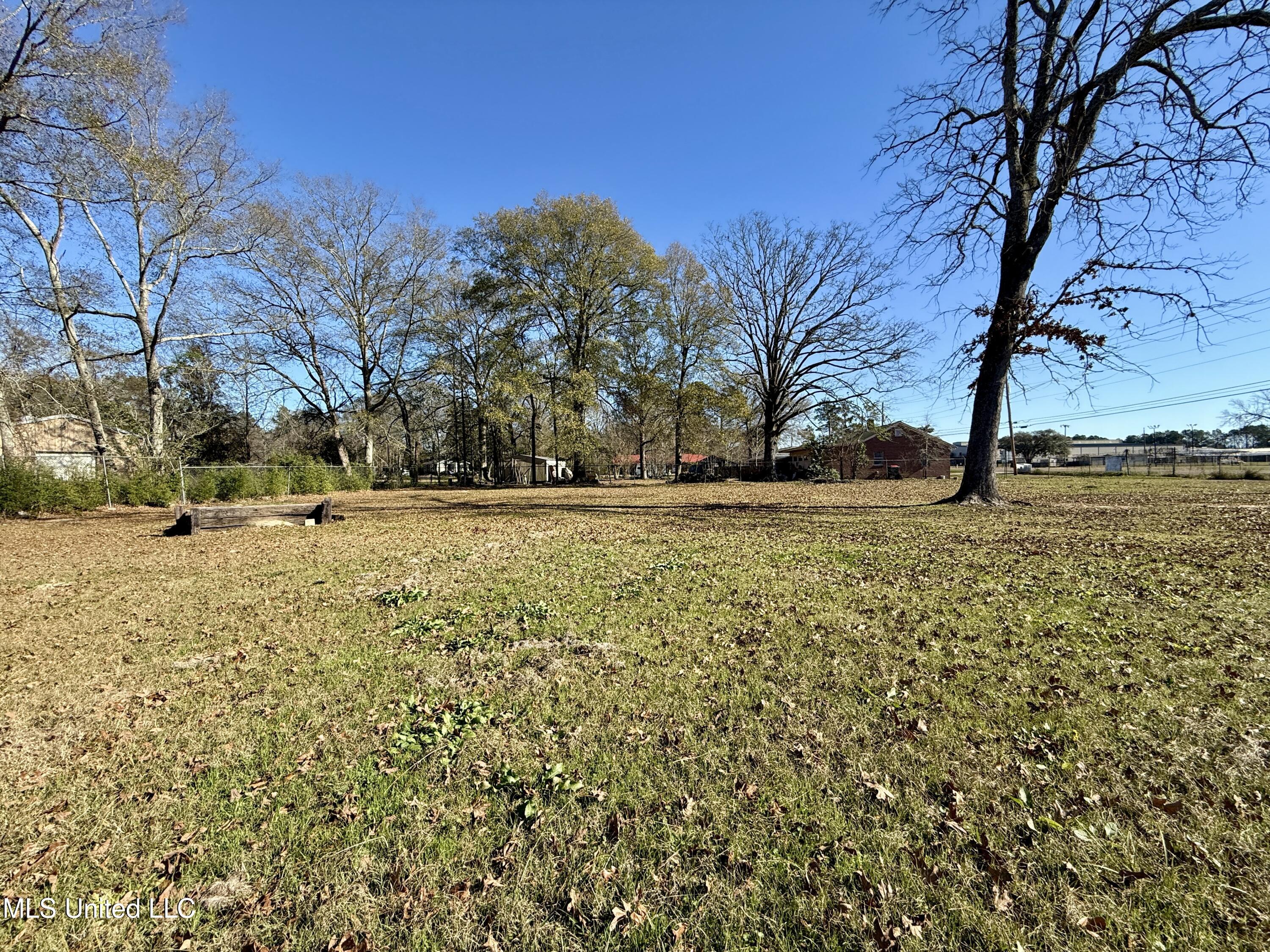 2031-2033 Ellisville Boulevard Property Photo 10