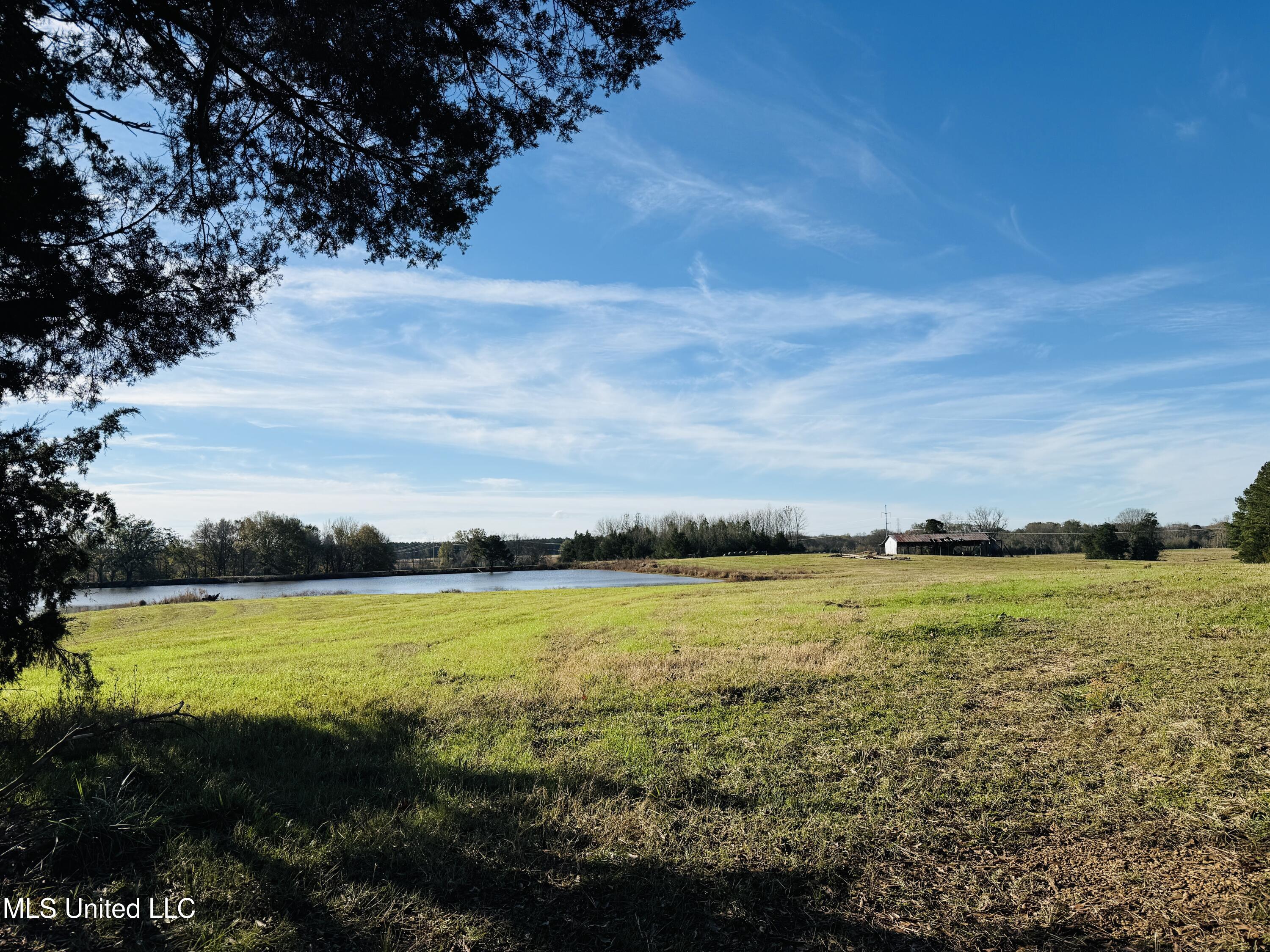 Mississippi 35 Property Photo 2