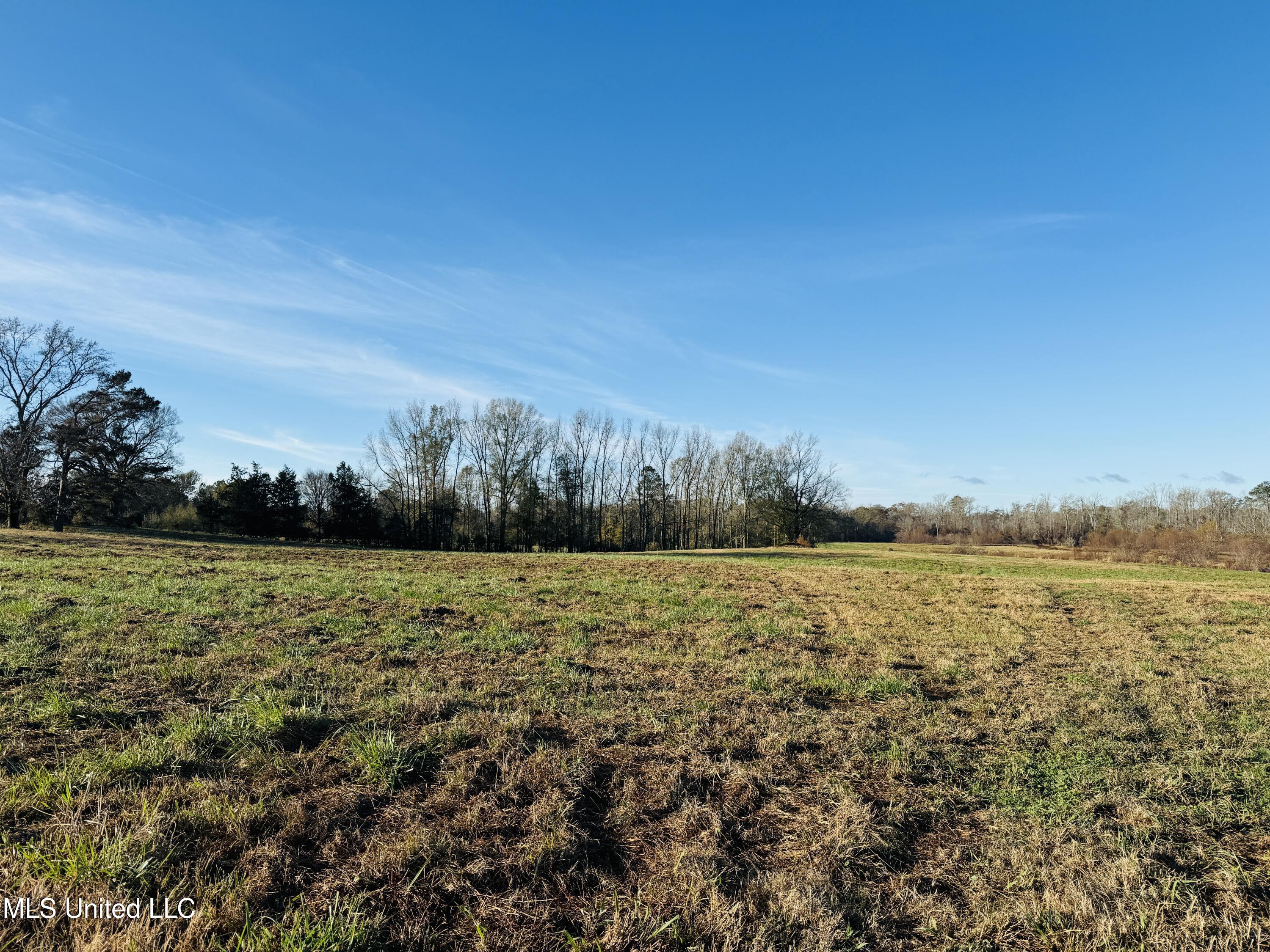 Mississippi 35 Property Photo 4