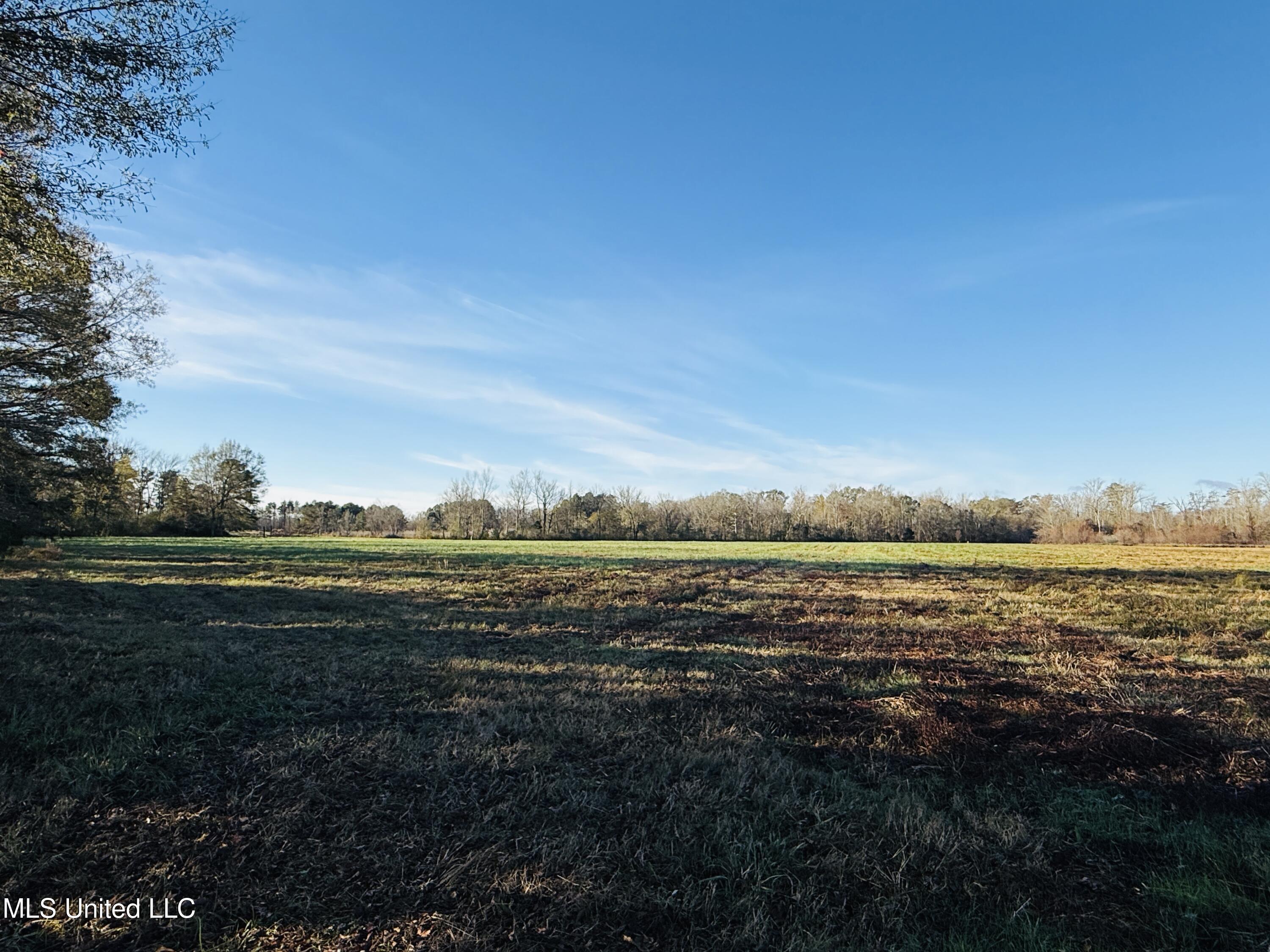 Mississippi 35 Property Photo 5