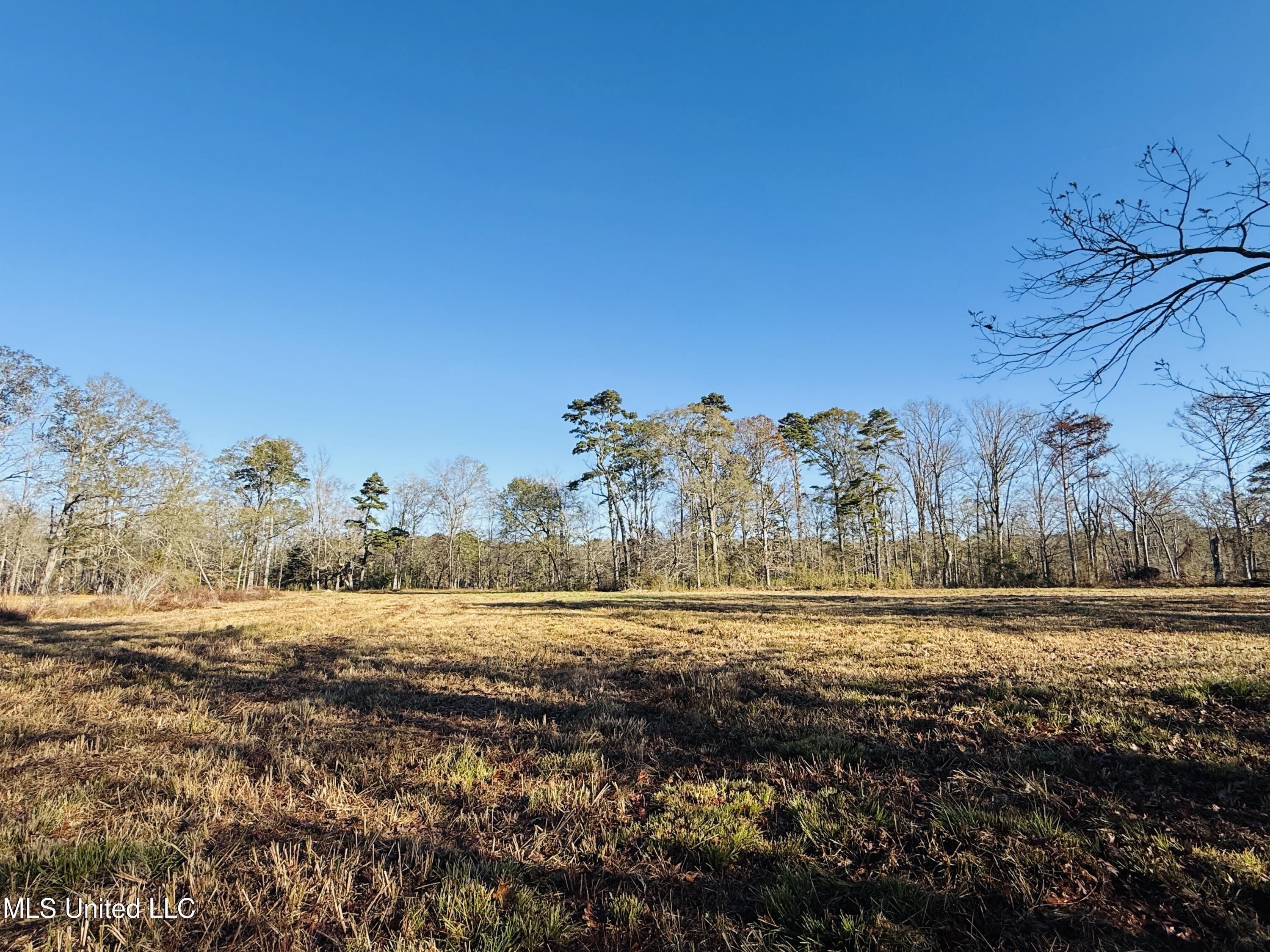 Mississippi 35 Property Photo 6