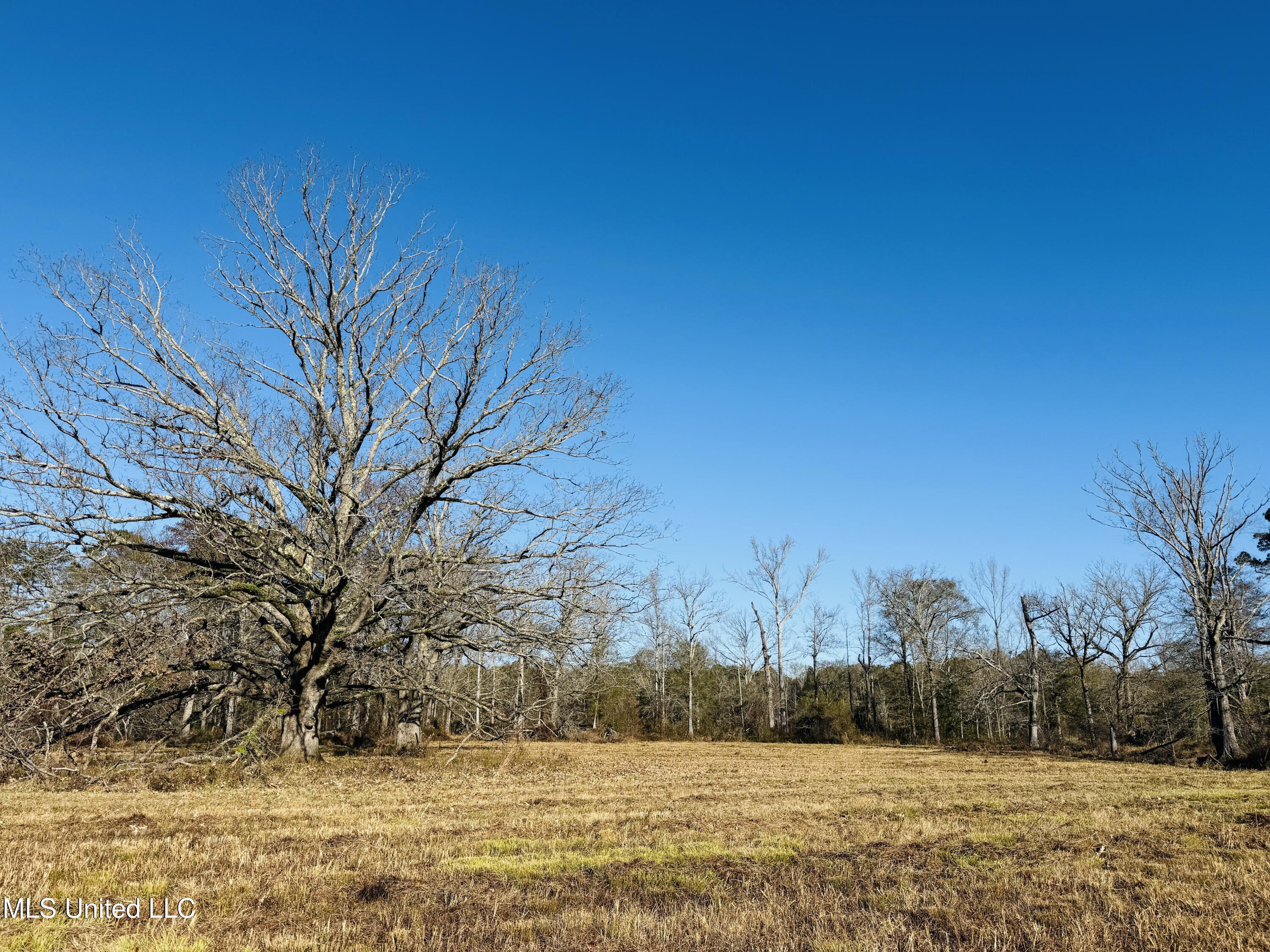 Mississippi 35 Property Photo 7